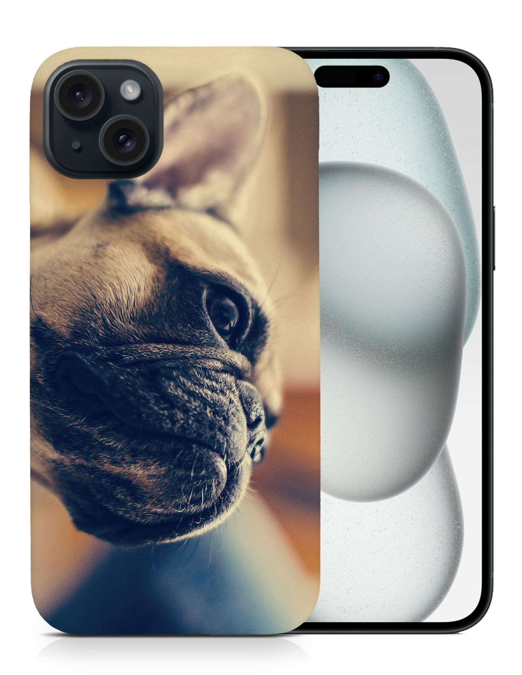 CASE COVER FOR APPLE IPHONE|FRENCH BULLDOG DOG 7 - Foto 8 di 44