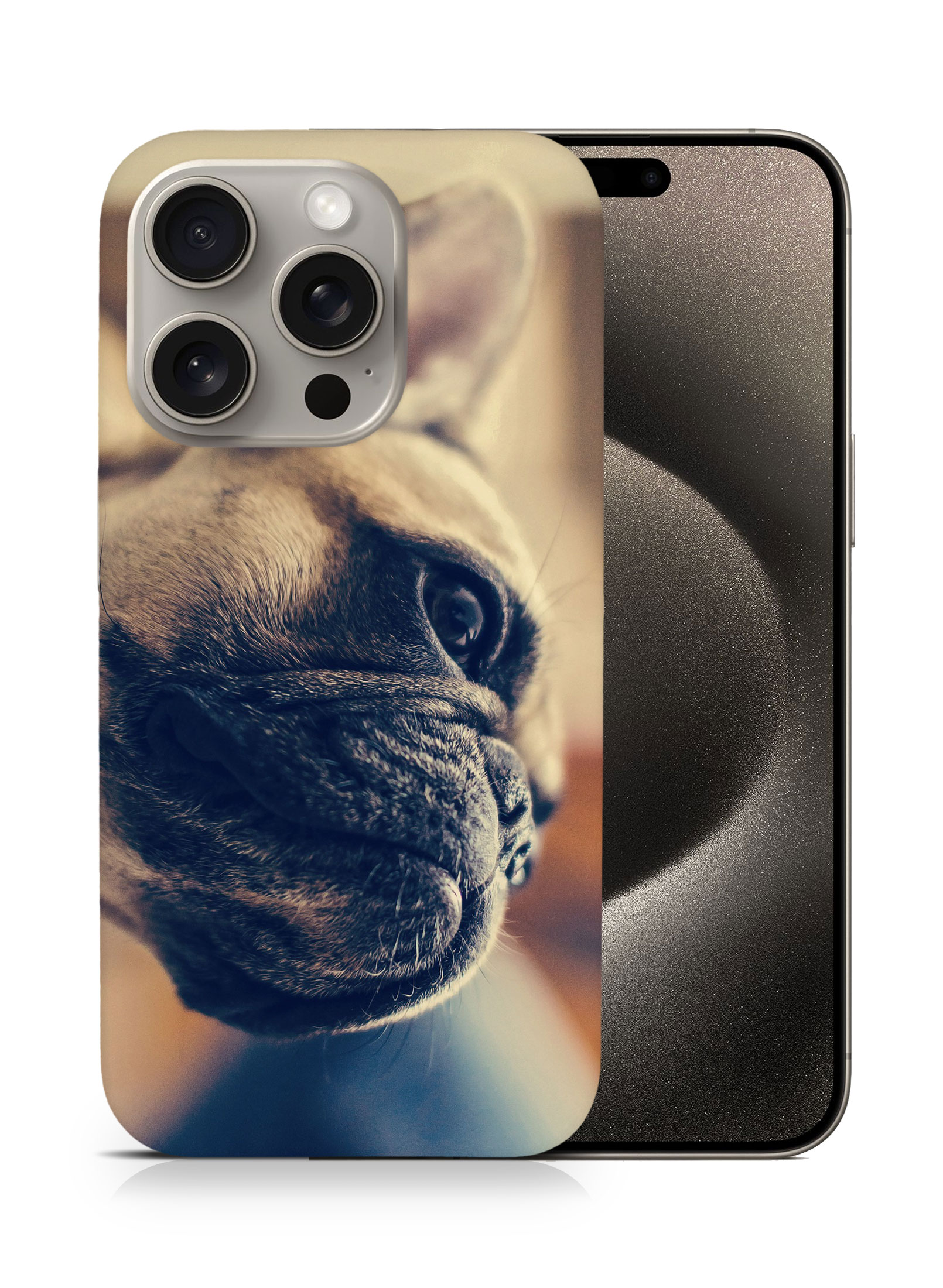 CASE COVER FOR APPLE IPHONE|FRENCH BULLDOG DOG 7 - Foto 7 di 44