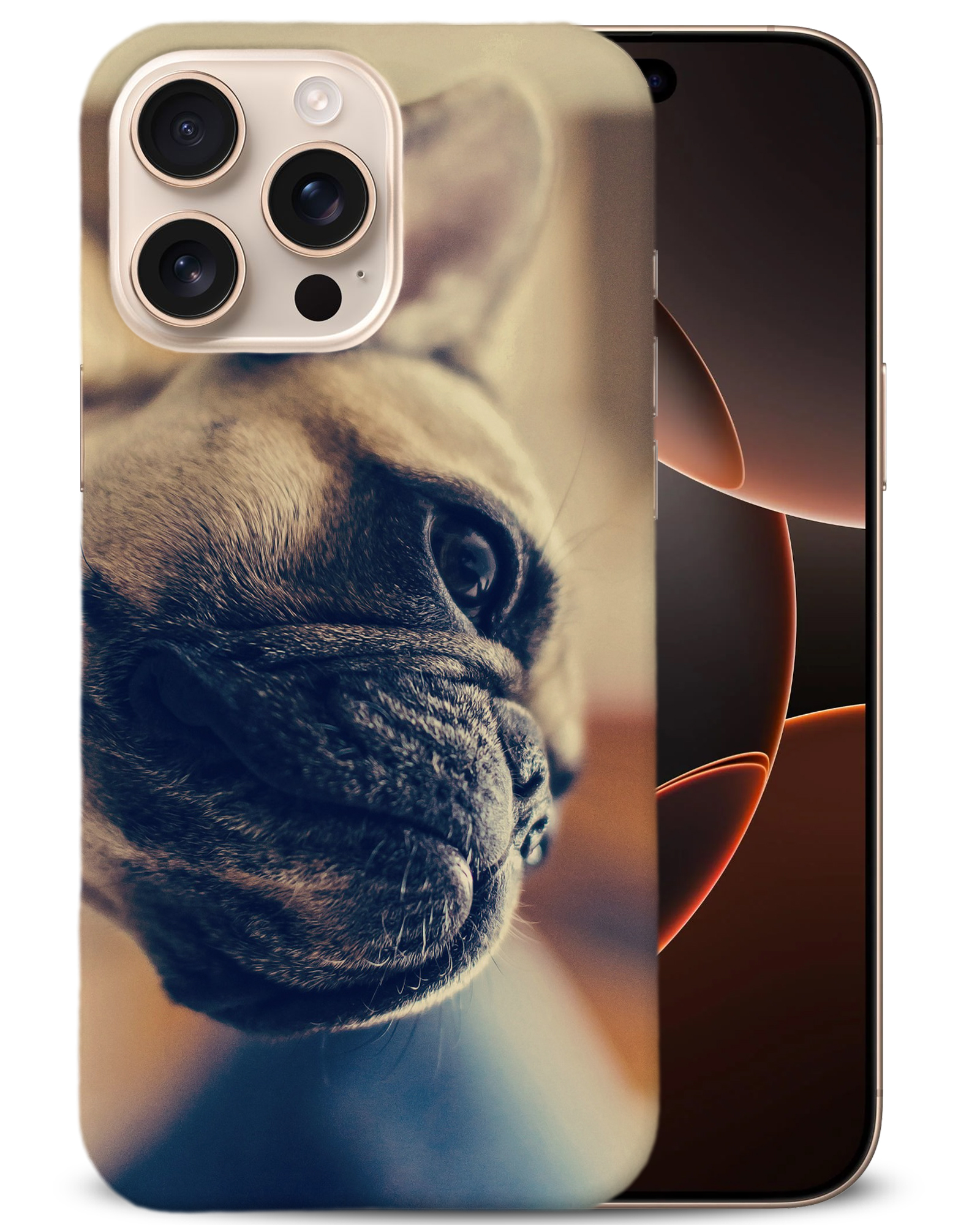 CASE COVER FOR APPLE IPHONE|FRENCH BULLDOG DOG 7 - Foto 2 di 44