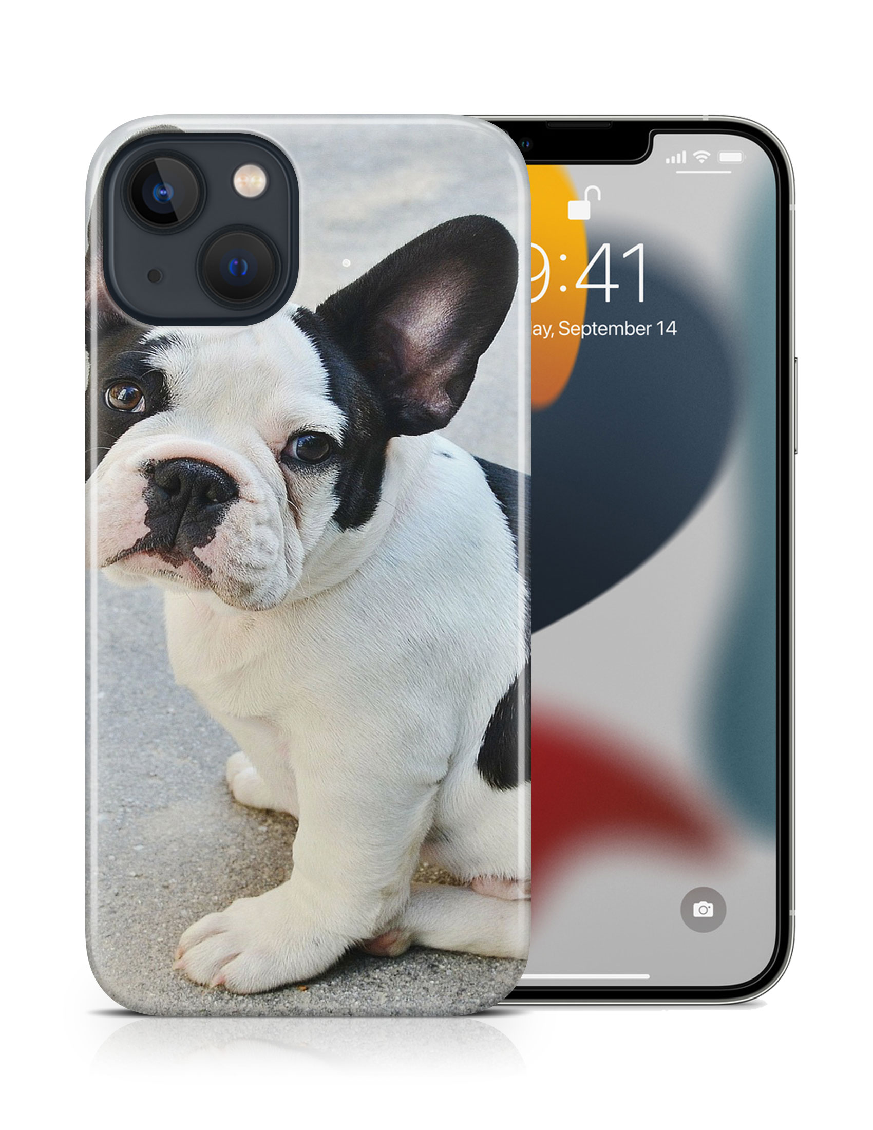 CASE COVER FOR APPLE IPHONE|FRENCH BULLDOG DOG 16 - Bild 16 von 44