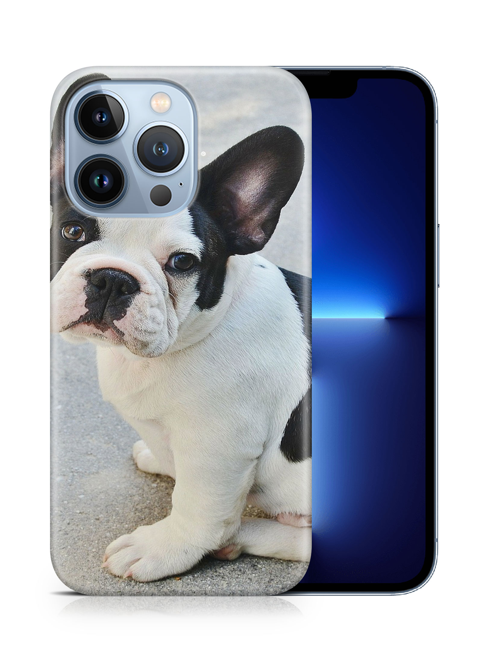 CASE COVER FOR APPLE IPHONE|FRENCH BULLDOG DOG 16 - Bild 15 von 44
