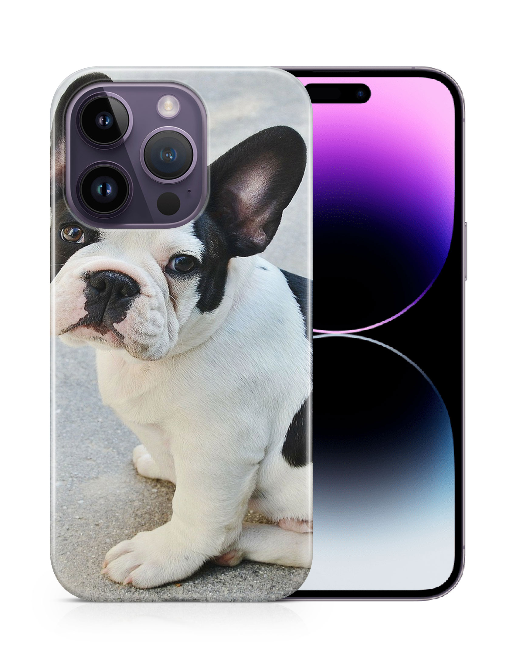CASE COVER FOR APPLE IPHONE|FRENCH BULLDOG DOG 16 - Bild 11 von 44