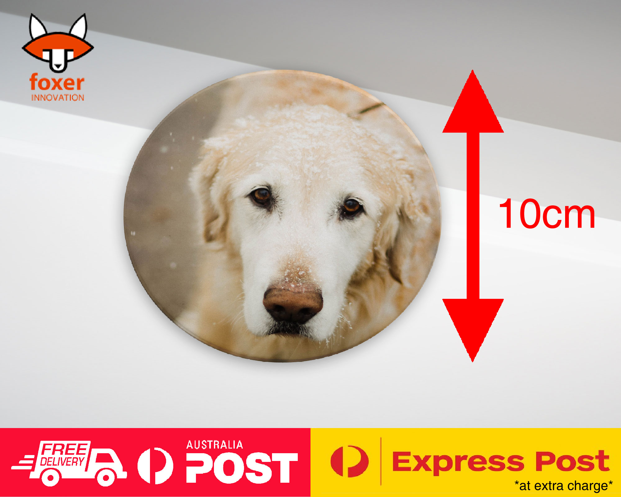 COASTER COFFEE DRINKING MAT|GOLDEN RETRIEVER DOG 4 - Foto 11 di 21