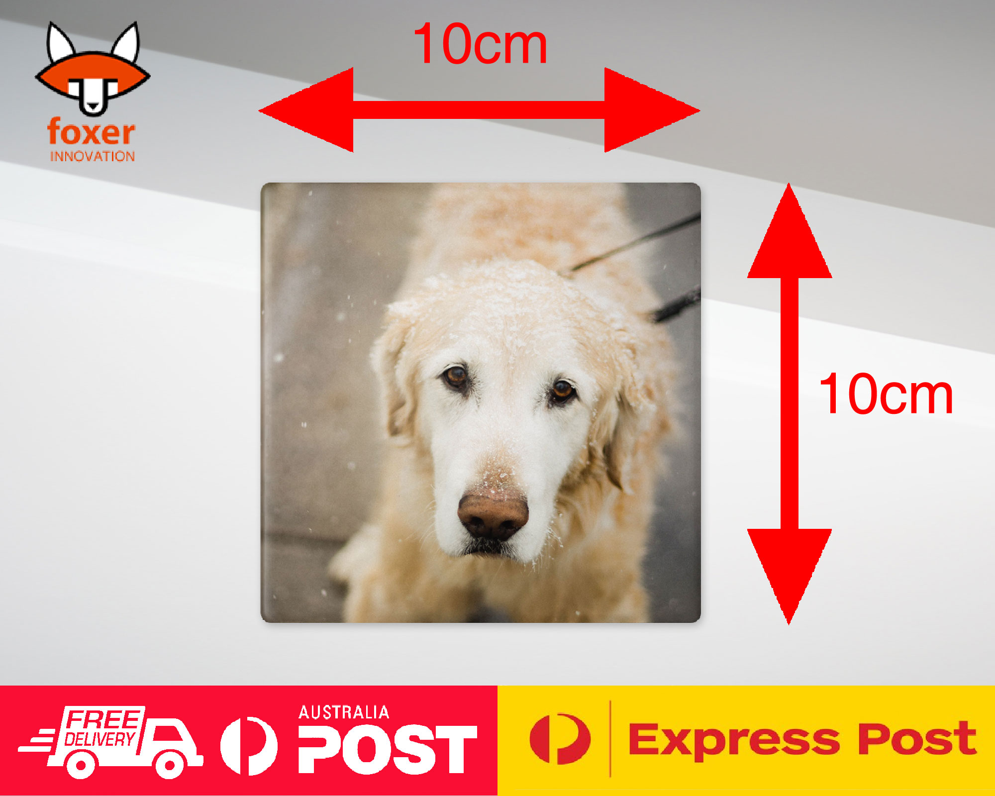 COASTER COFFEE DRINKING MAT|GOLDEN RETRIEVER DOG 4 - Foto 21 di 21