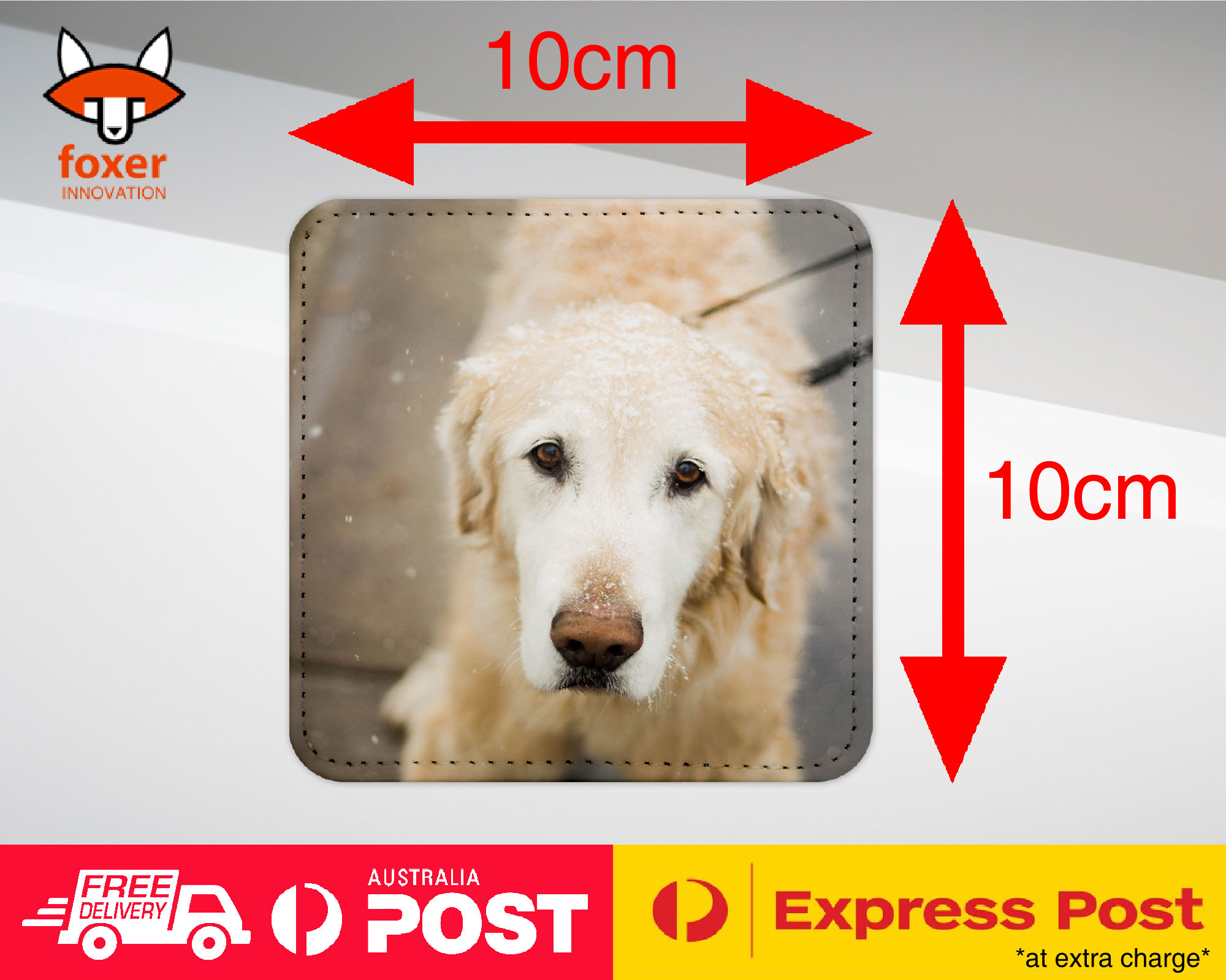 COASTER COFFEE DRINKING MAT|GOLDEN RETRIEVER DOG 4 - Foto 17 di 21