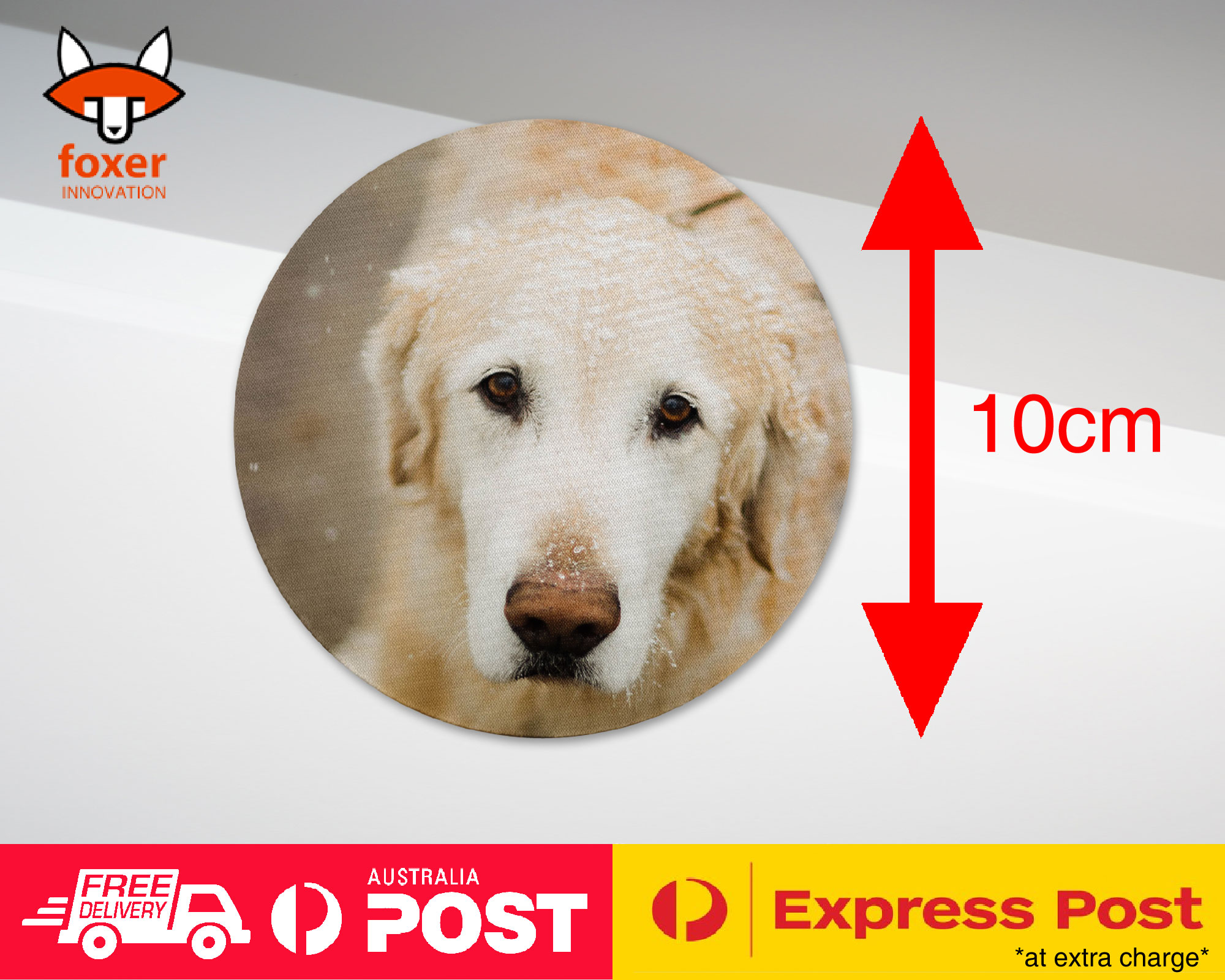 COASTER COFFEE DRINKING MAT|GOLDEN RETRIEVER DOG 4 - Foto 4 di 21