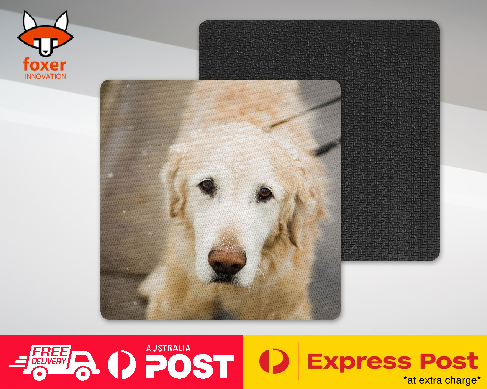 COASTER COFFEE DRINKING MAT|GOLDEN RETRIEVER DOG 4 - Foto 12 di 21