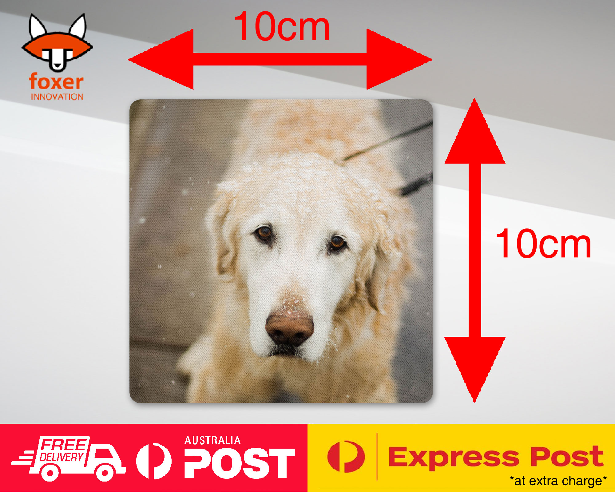 COASTER COFFEE DRINKING MAT|GOLDEN RETRIEVER DOG 4 - Foto 14 di 21