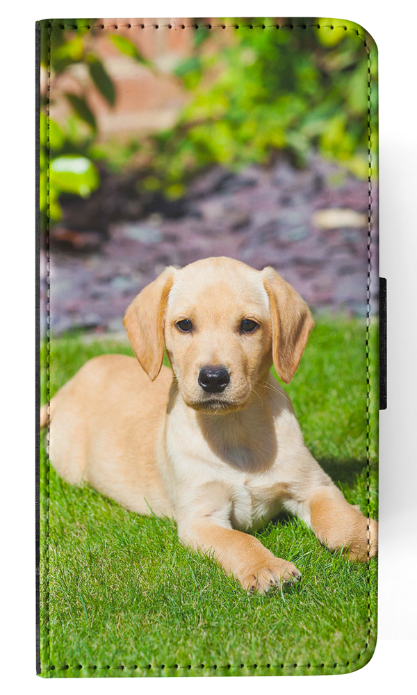 FLIP CASE FOR APPLE IPHONE|GOLDEN RETRIEVER DOG 5 - Imagen 120 de 193