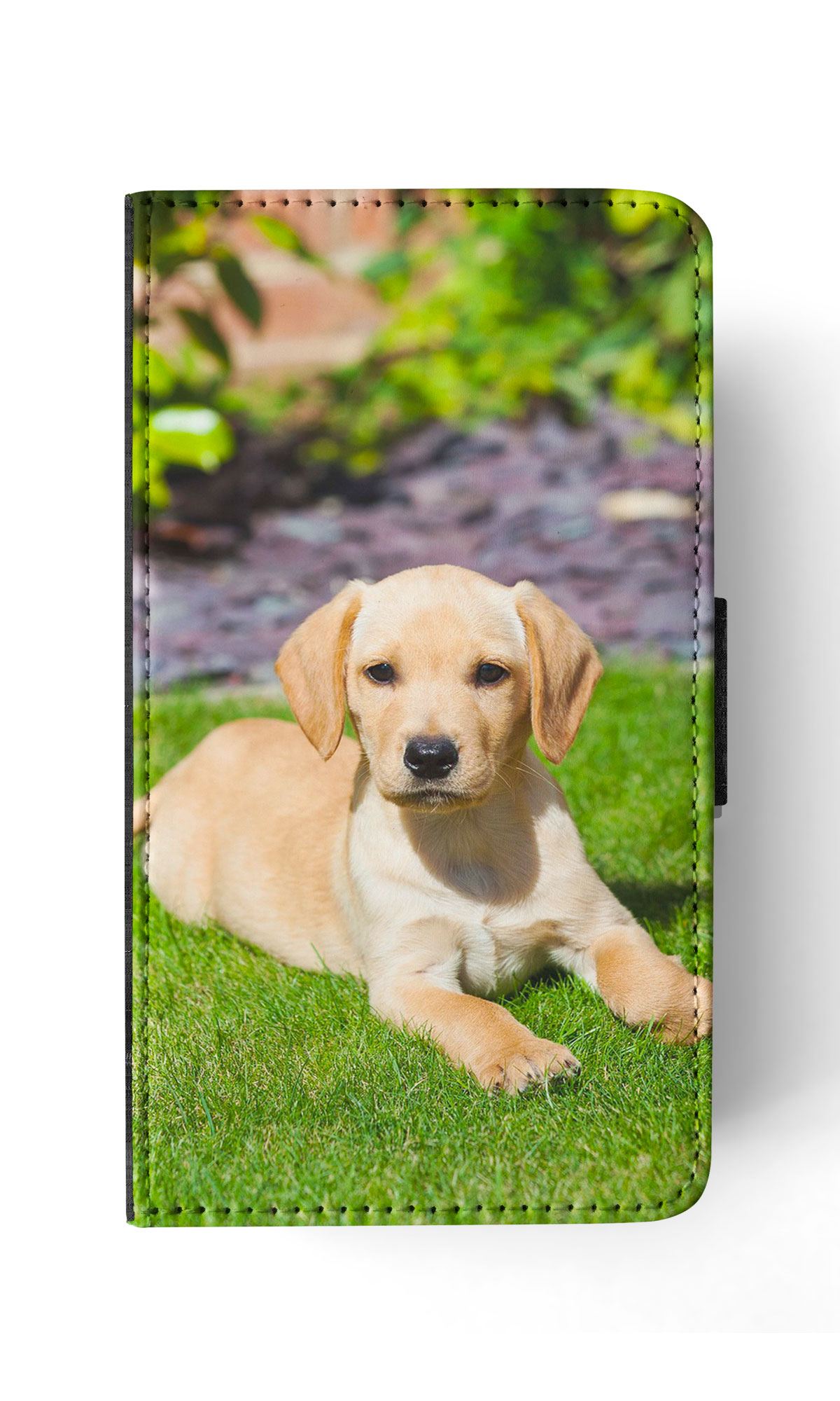 FLIP CASE FOR APPLE IPHONE|GOLDEN RETRIEVER DOG 5 - Imagen 170 de 193