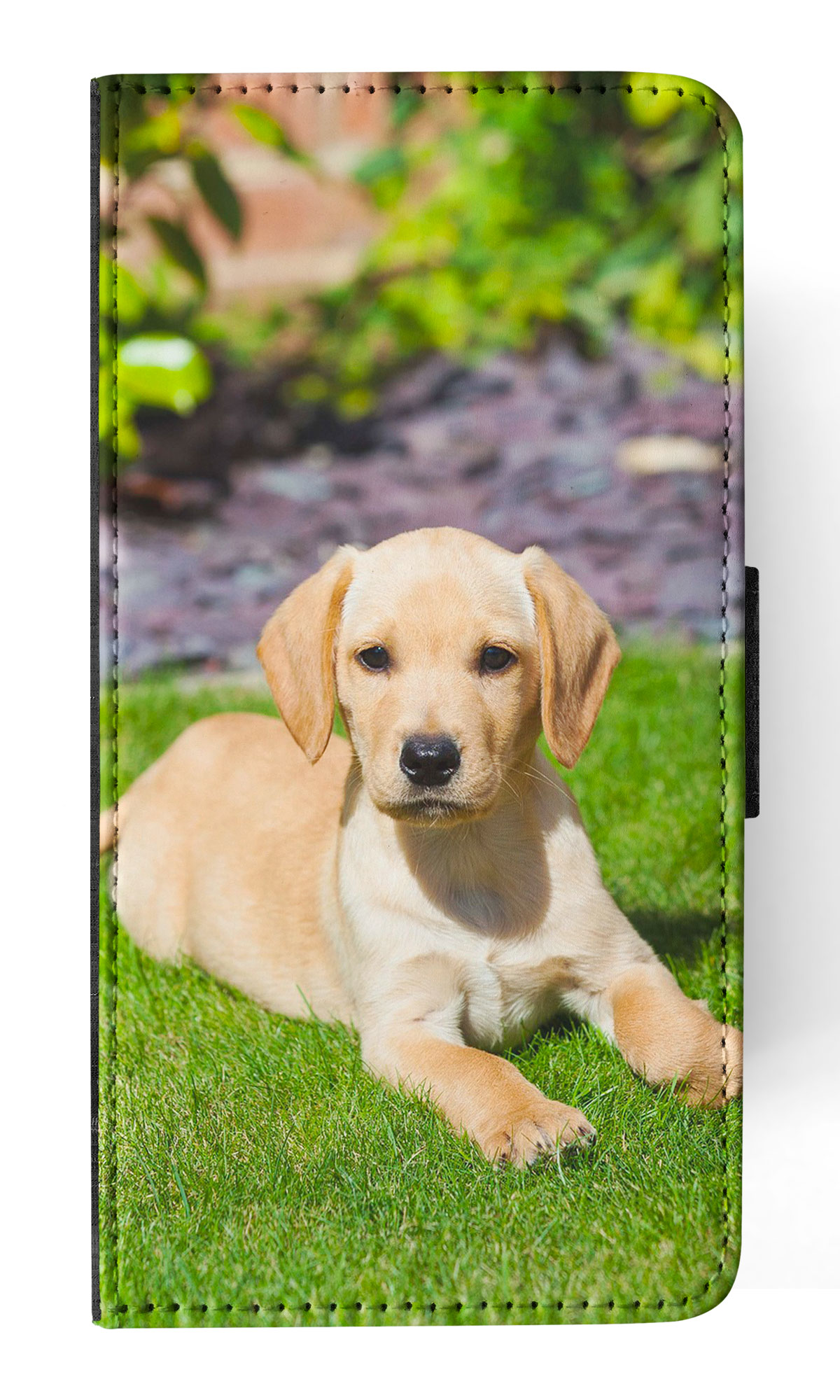 FLIP CASE FOR APPLE IPHONE|GOLDEN RETRIEVER DOG 5 - Imagen 57 de 193