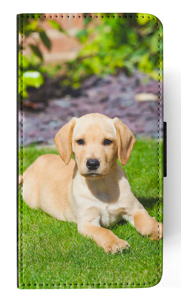 FLIP CASE FOR APPLE IPHONE|GOLDEN RETRIEVER DOG 5 - Imagen 150 de 193