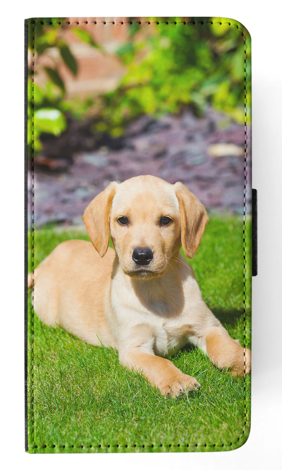 FLIP CASE FOR APPLE IPHONE|GOLDEN RETRIEVER DOG 5 - Imagen 37 de 193