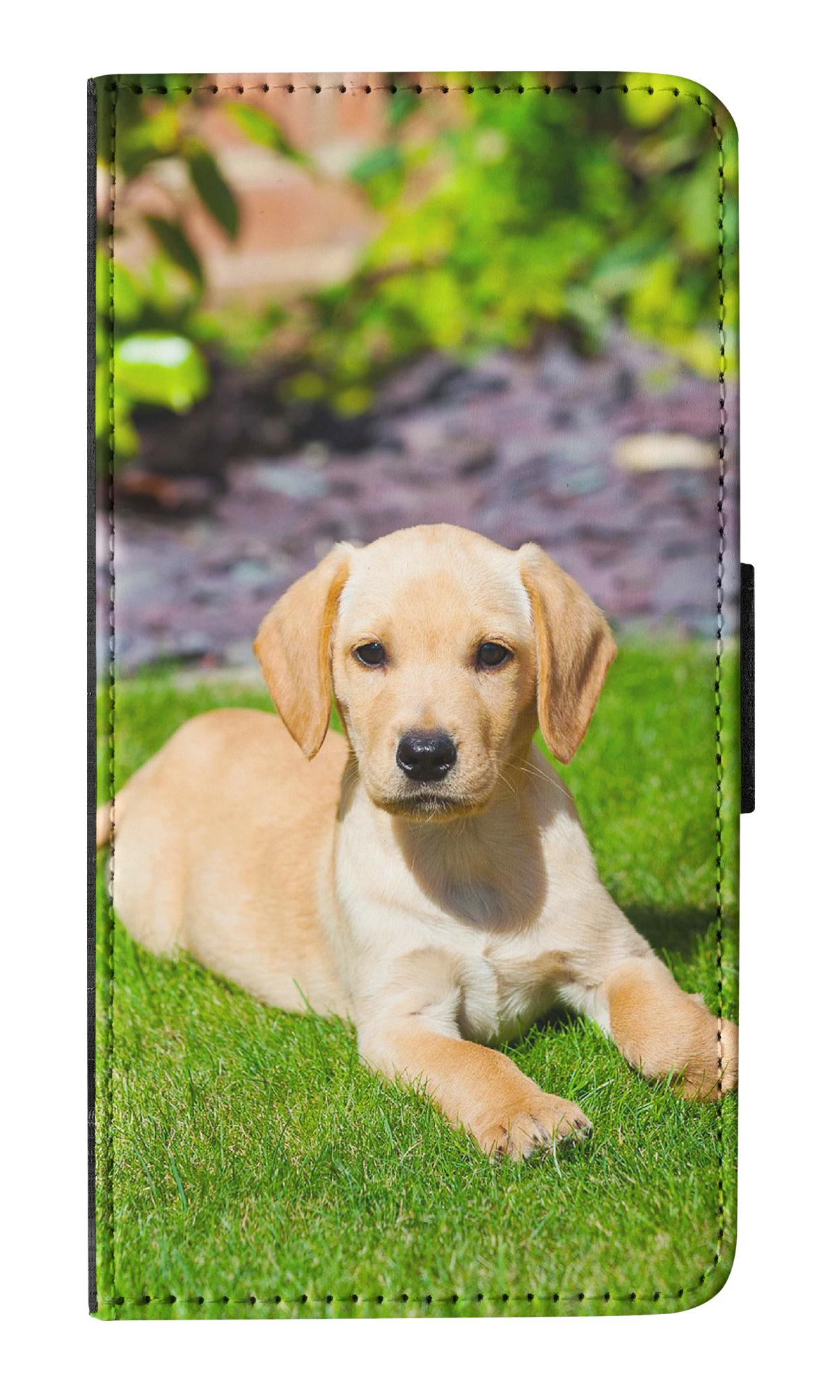 FLIP CASE FOR APPLE IPHONE|GOLDEN RETRIEVER DOG 5 - Imagen 17 de 193