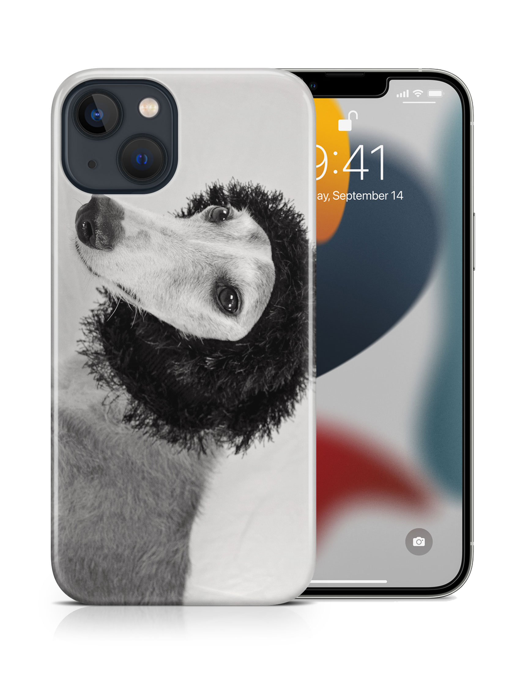 CASE COVER FOR APPLE IPHONE|GREYHOUND DOG 1 - Picture 16 of 44