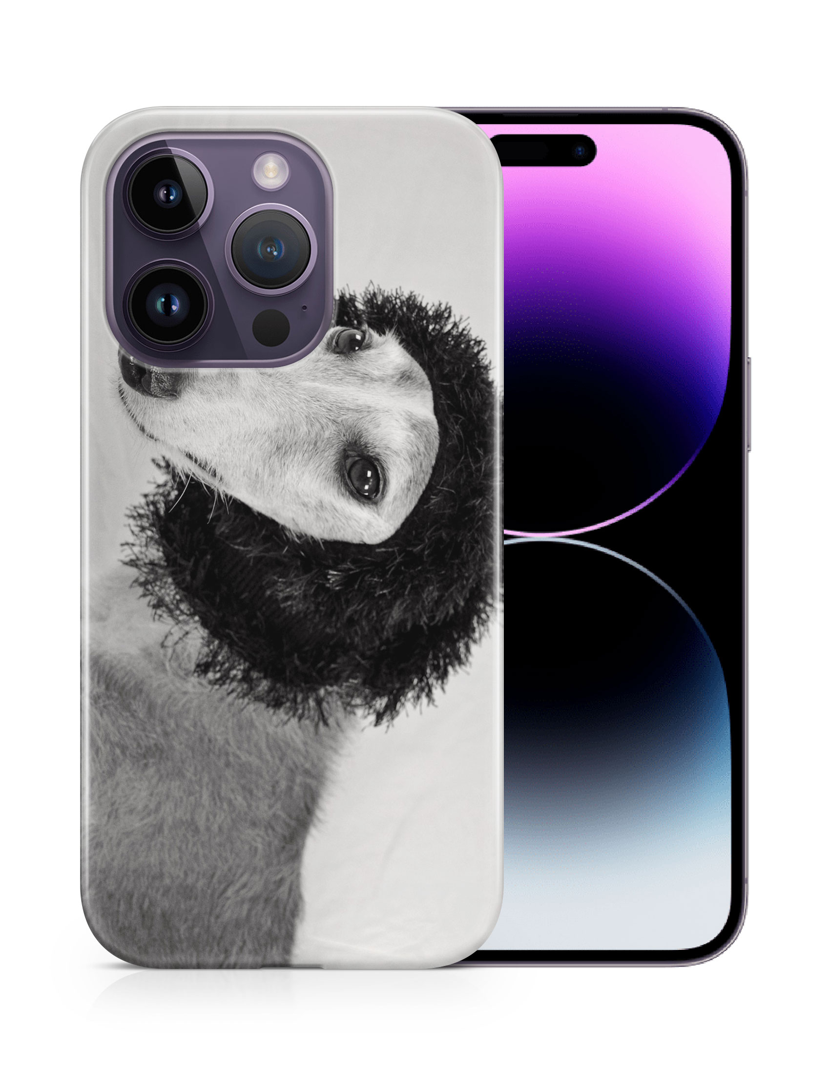 CASE COVER FOR APPLE IPHONE|GREYHOUND DOG 1 - Picture 11 of 44
