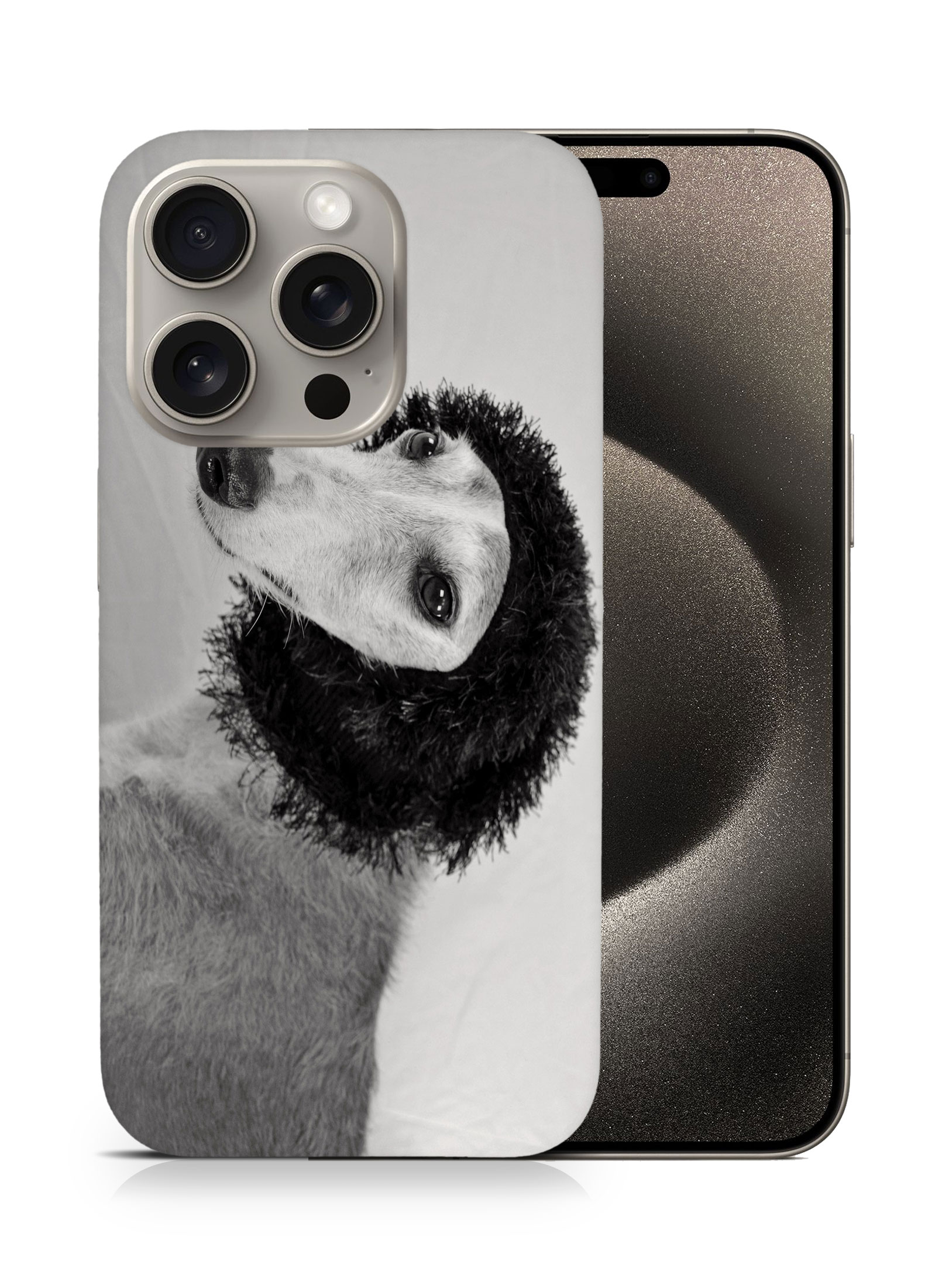 CASE COVER FOR APPLE IPHONE|GREYHOUND DOG 1 - Picture 7 of 44
