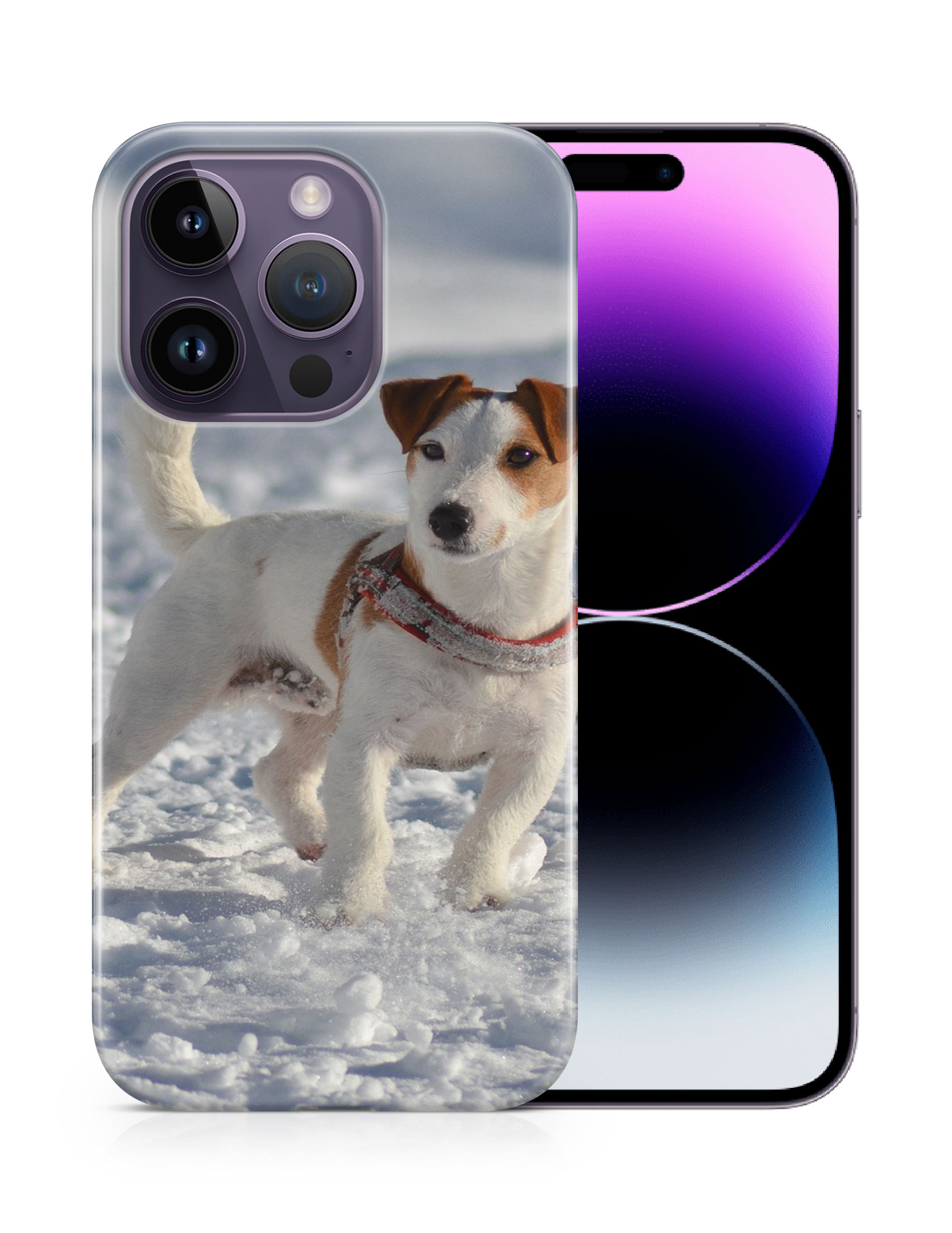 CASE COVER FOR APPLE IPHONE|JACK RUSSELL DOG 10 - Bild 11 von 44