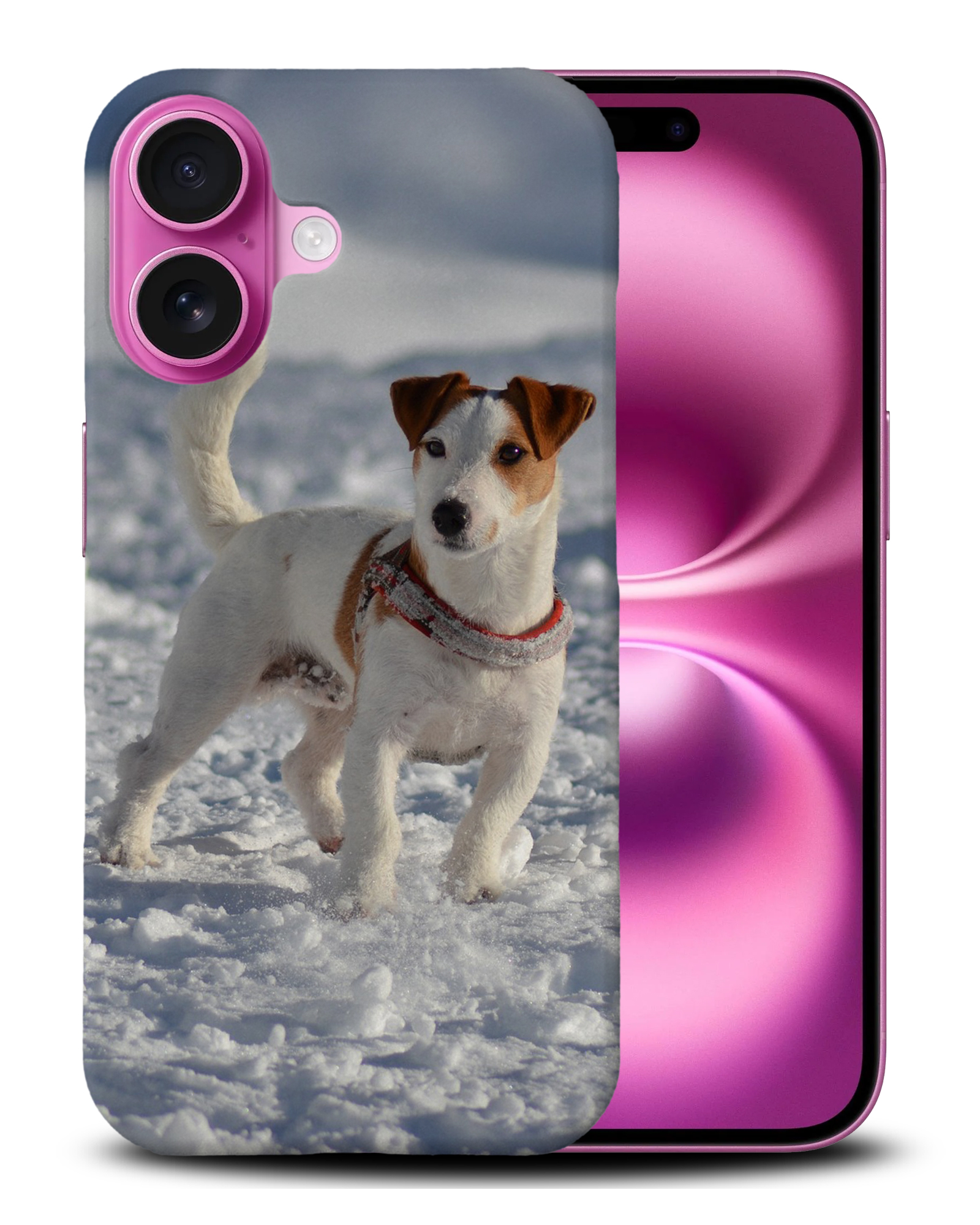 CASE COVER FOR APPLE IPHONE|JACK RUSSELL DOG 10 - Bild 5 von 44