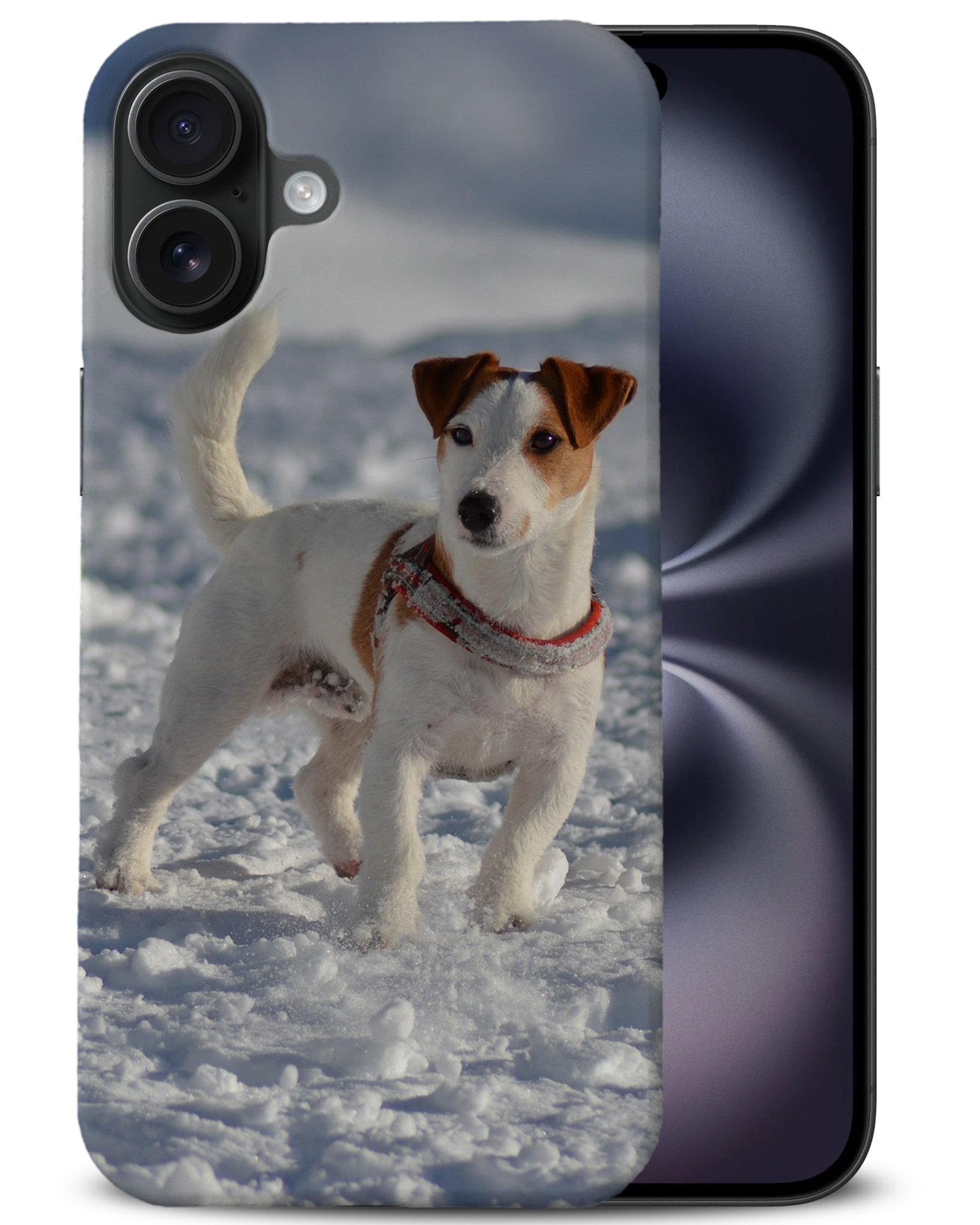 CASE COVER FOR APPLE IPHONE|JACK RUSSELL DOG 10 - Bild 4 von 44