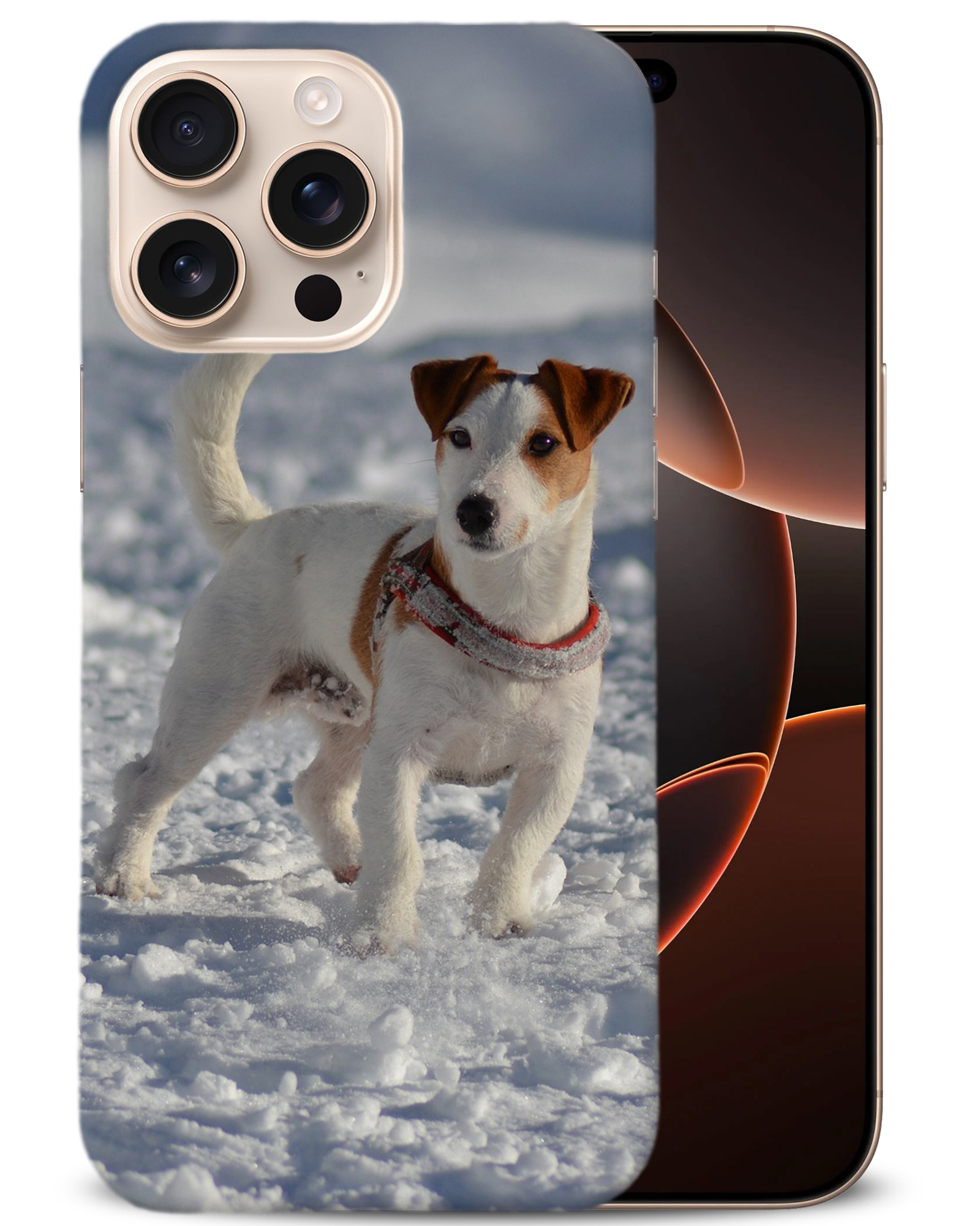 CASE COVER FOR APPLE IPHONE|JACK RUSSELL DOG 10 - Bild 2 von 44