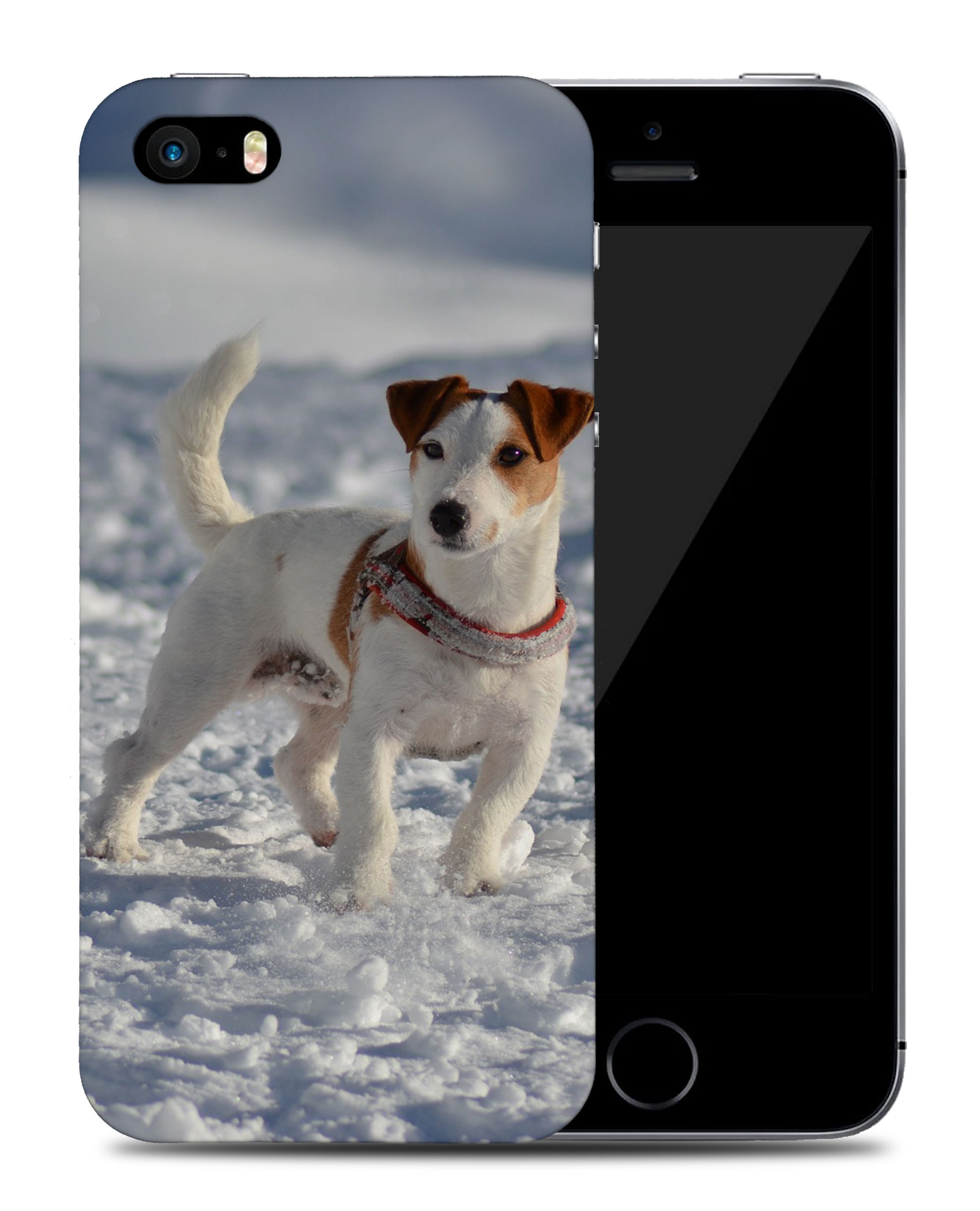 CASE COVER FOR APPLE IPHONE|JACK RUSSELL DOG 10 - Bild 38 von 44