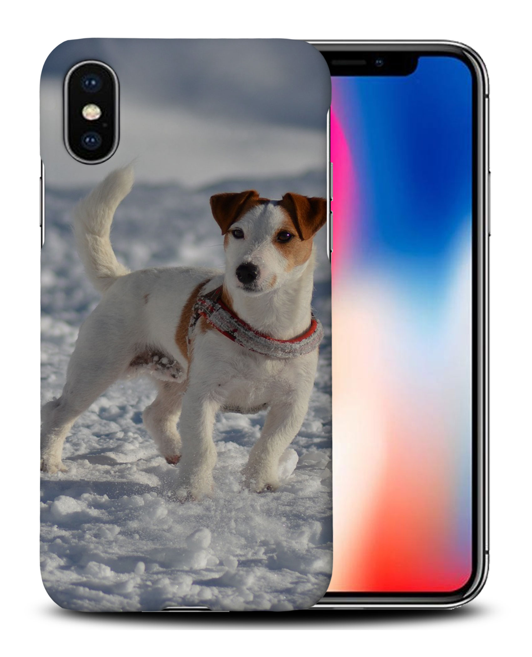 CASE COVER FOR APPLE IPHONE|JACK RUSSELL DOG 10 - Bild 26 von 44