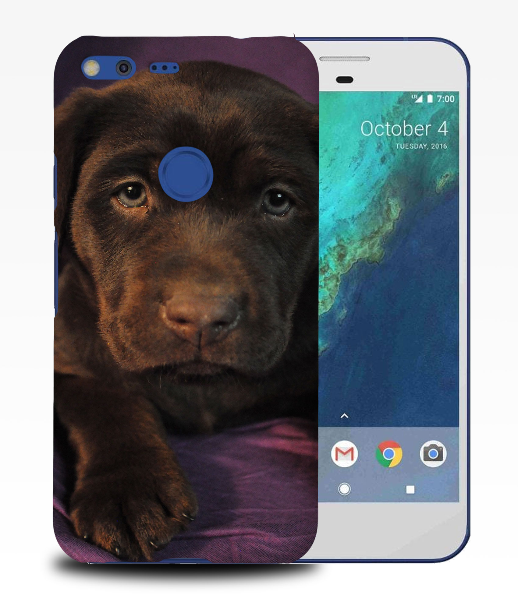 CASE COVER FOR GOOGLE PIXEL|LABRADOR RETRIEVER DOG 1 - Picture 10 of 11