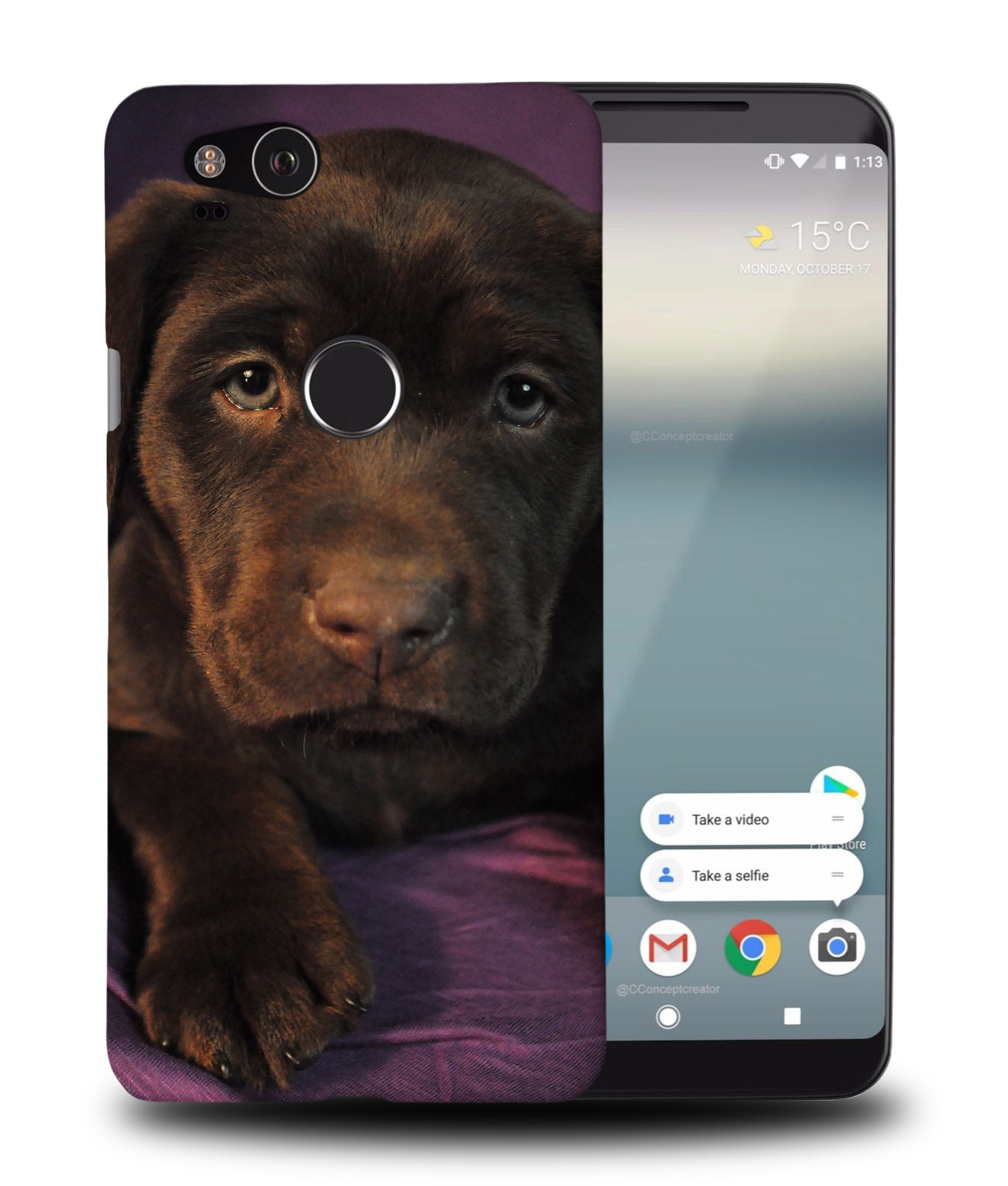 CASE COVER FOR GOOGLE PIXEL|LABRADOR RETRIEVER DOG 1 - Picture 9 of 11