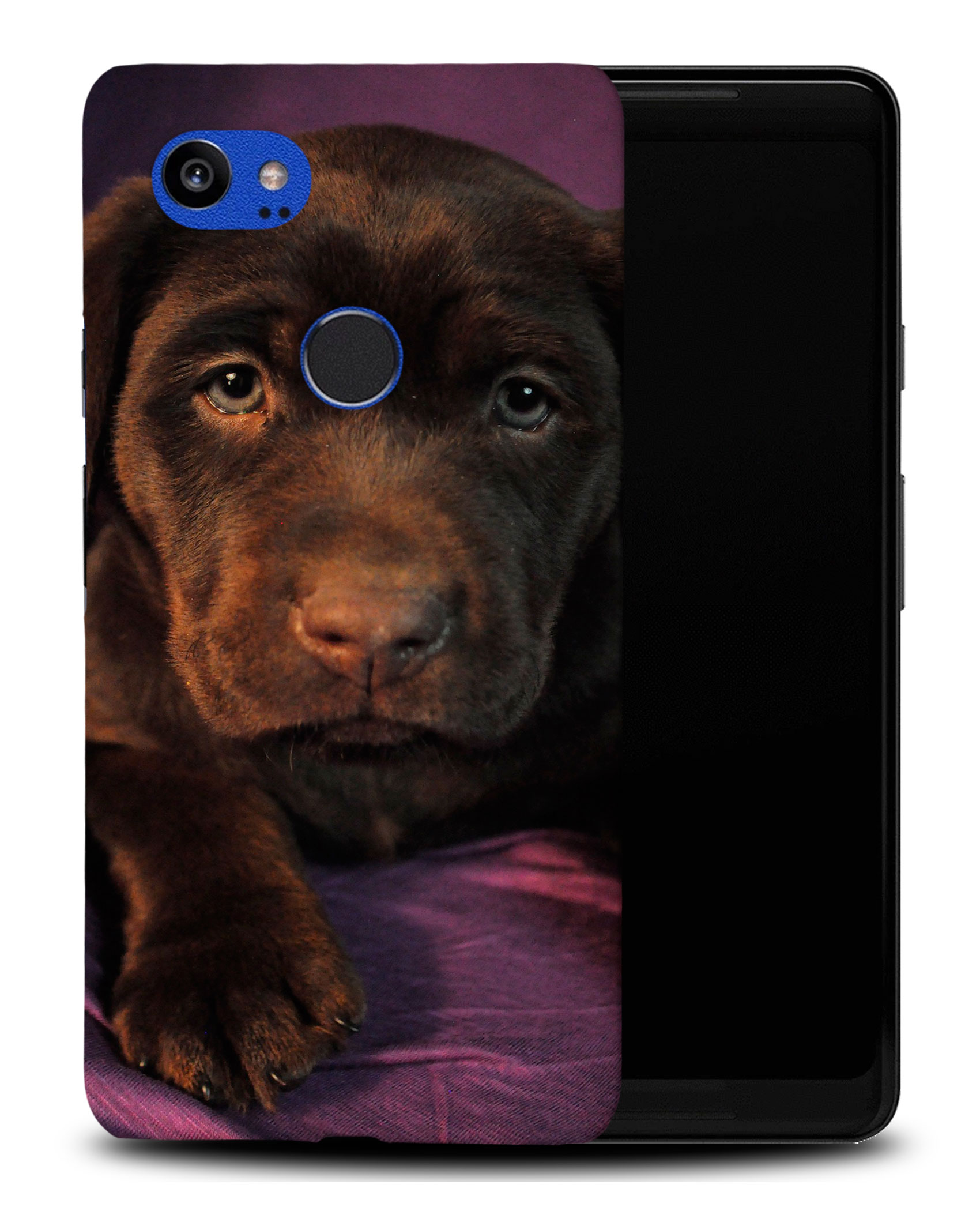 CASE COVER FOR GOOGLE PIXEL|LABRADOR RETRIEVER DOG 1 - Picture 8 of 11