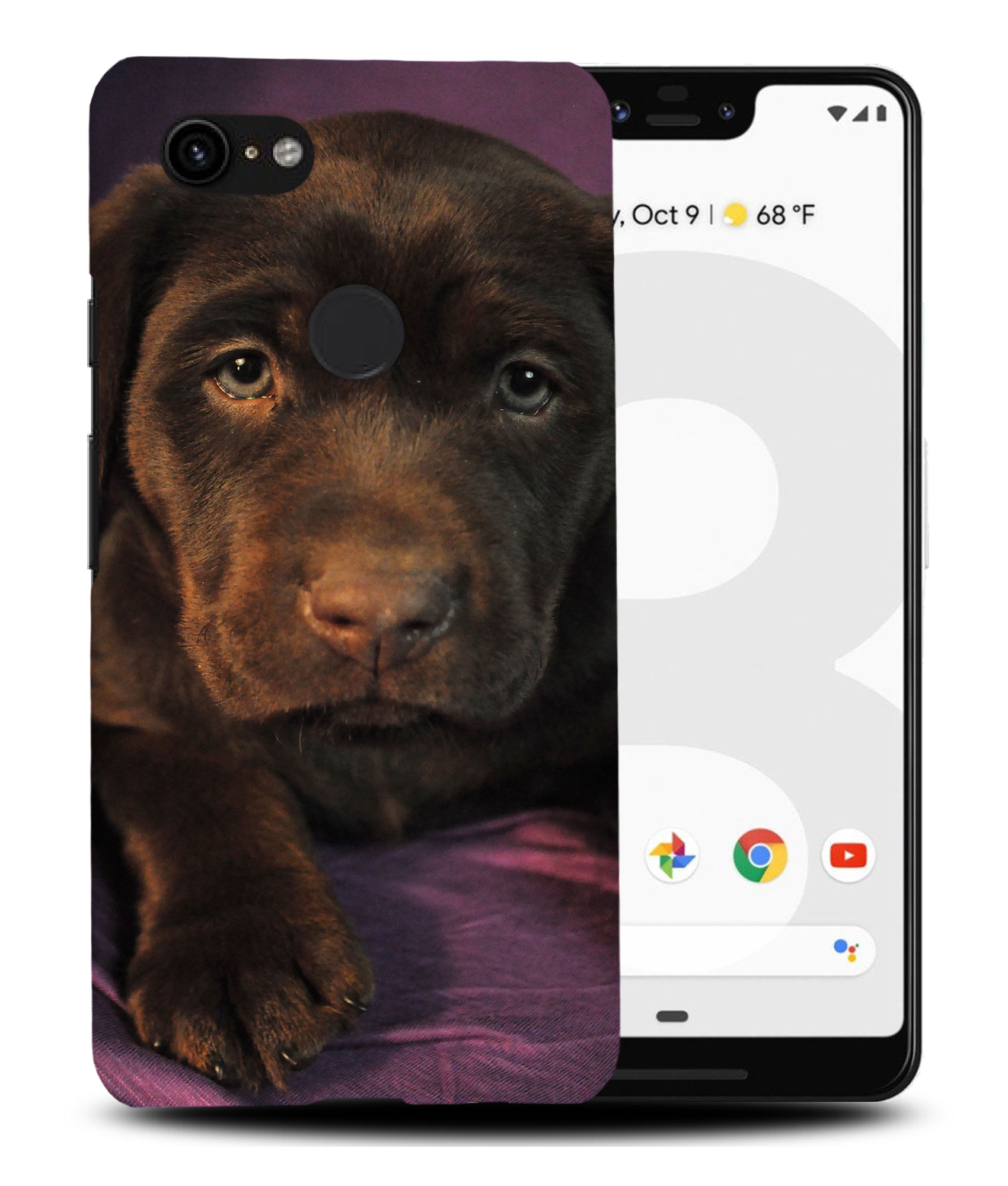 CASE COVER FOR GOOGLE PIXEL|LABRADOR RETRIEVER DOG 1 - Picture 6 of 11
