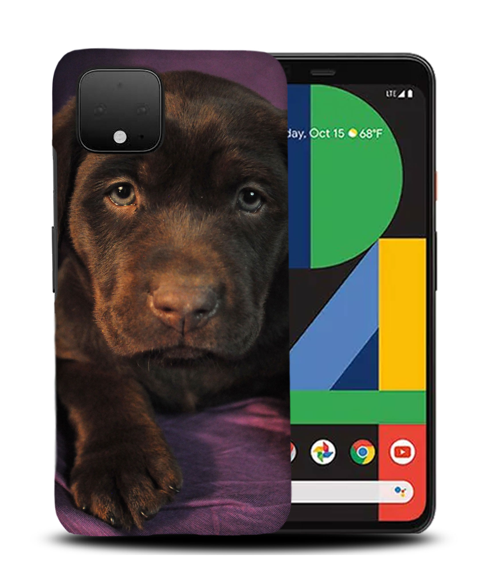 CASE COVER FOR GOOGLE PIXEL|LABRADOR RETRIEVER DOG 1 - Picture 5 of 11