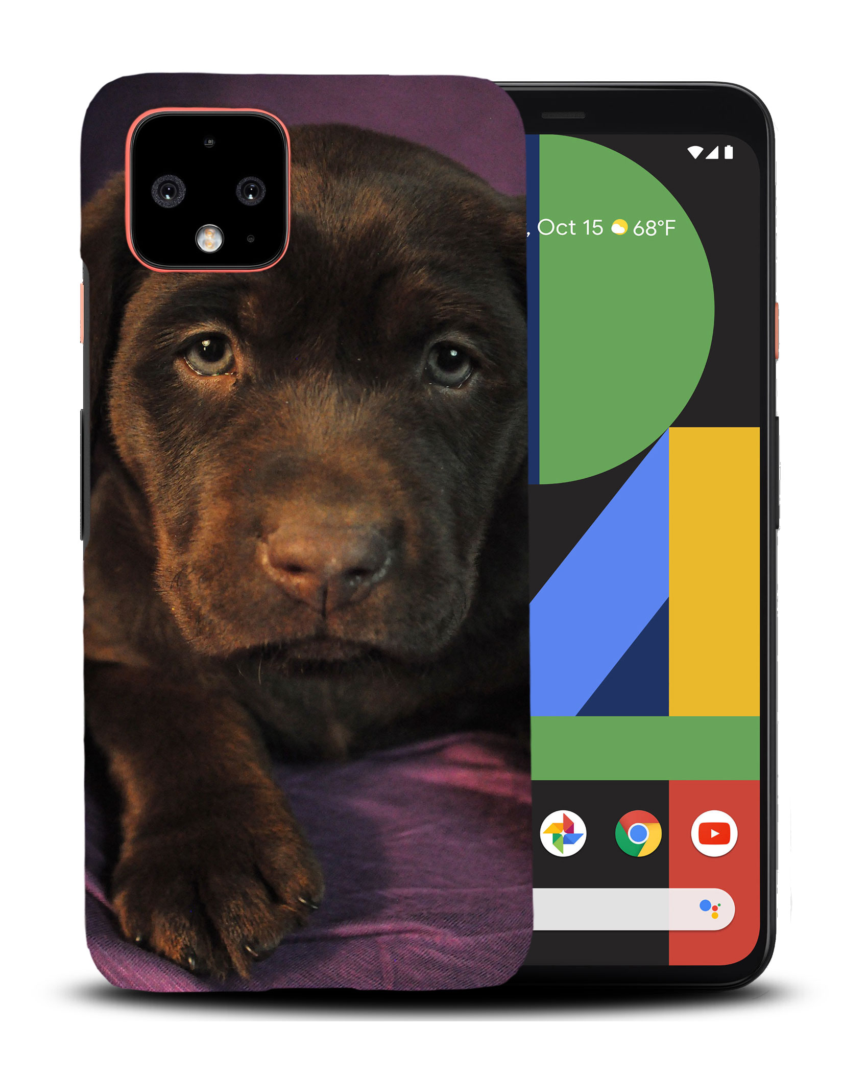 CASE COVER FOR GOOGLE PIXEL|LABRADOR RETRIEVER DOG 1 - Picture 4 of 11