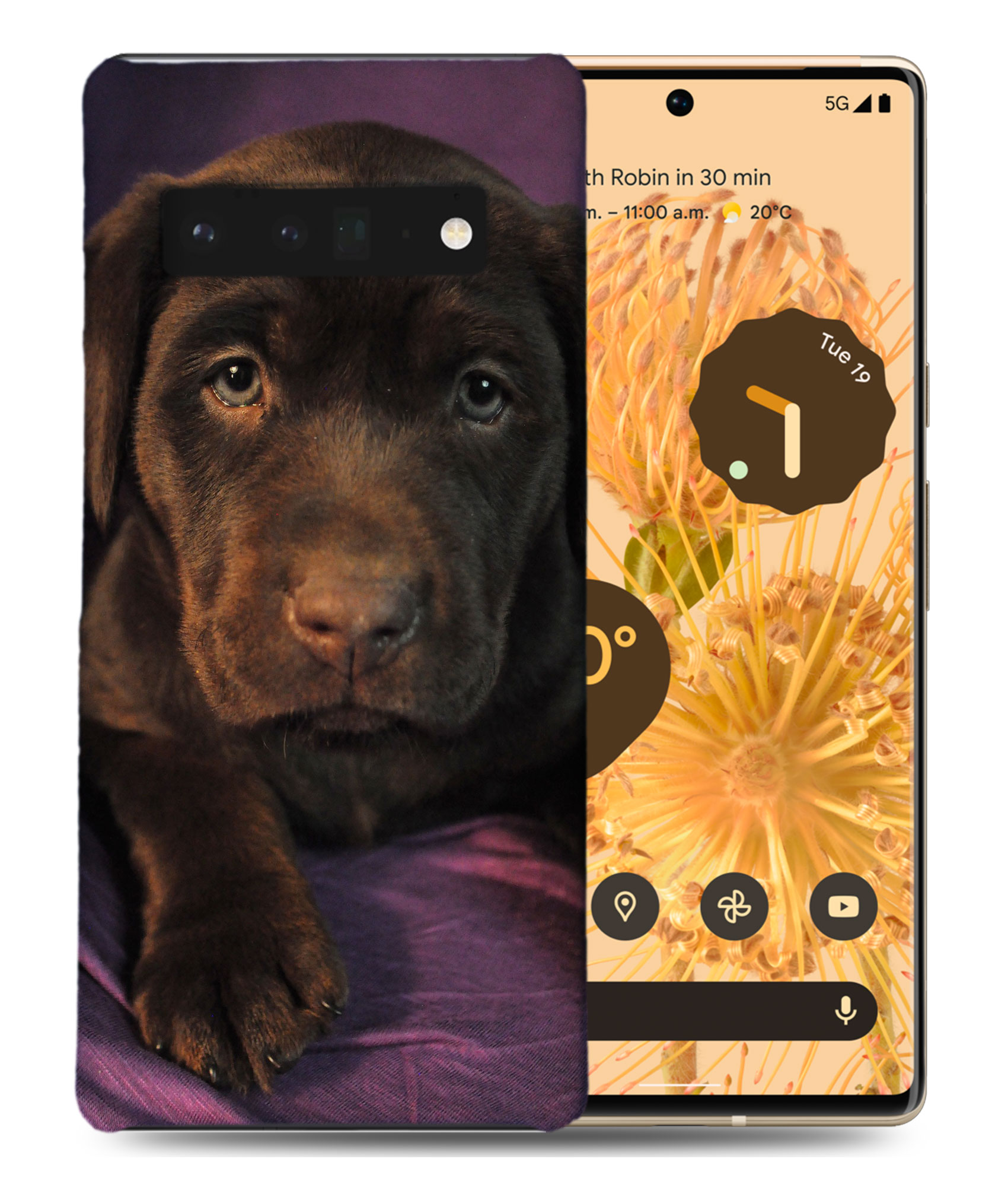 CASE COVER FOR GOOGLE PIXEL|LABRADOR RETRIEVER DOG 1 - Picture 2 of 11