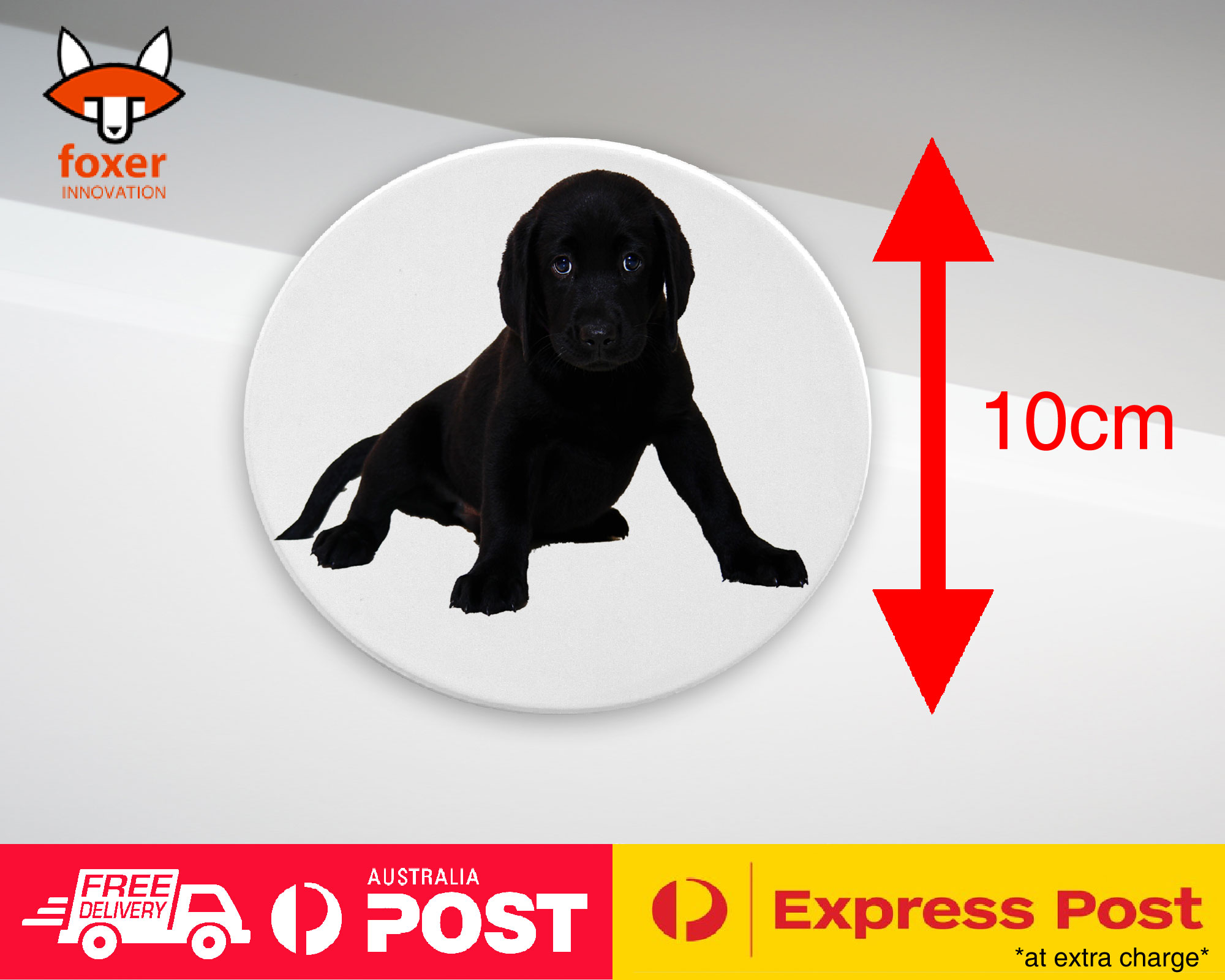 COASTER COFFEE DRINKING MAT|LABRADOR RETRIEVER DOG 13