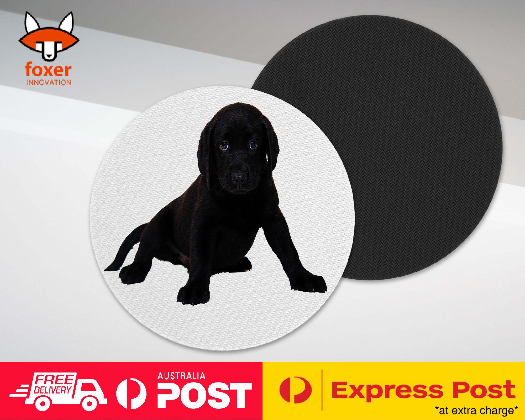 COASTER COFFEE DRINKING MAT|LABRADOR RETRIEVER DOG 13