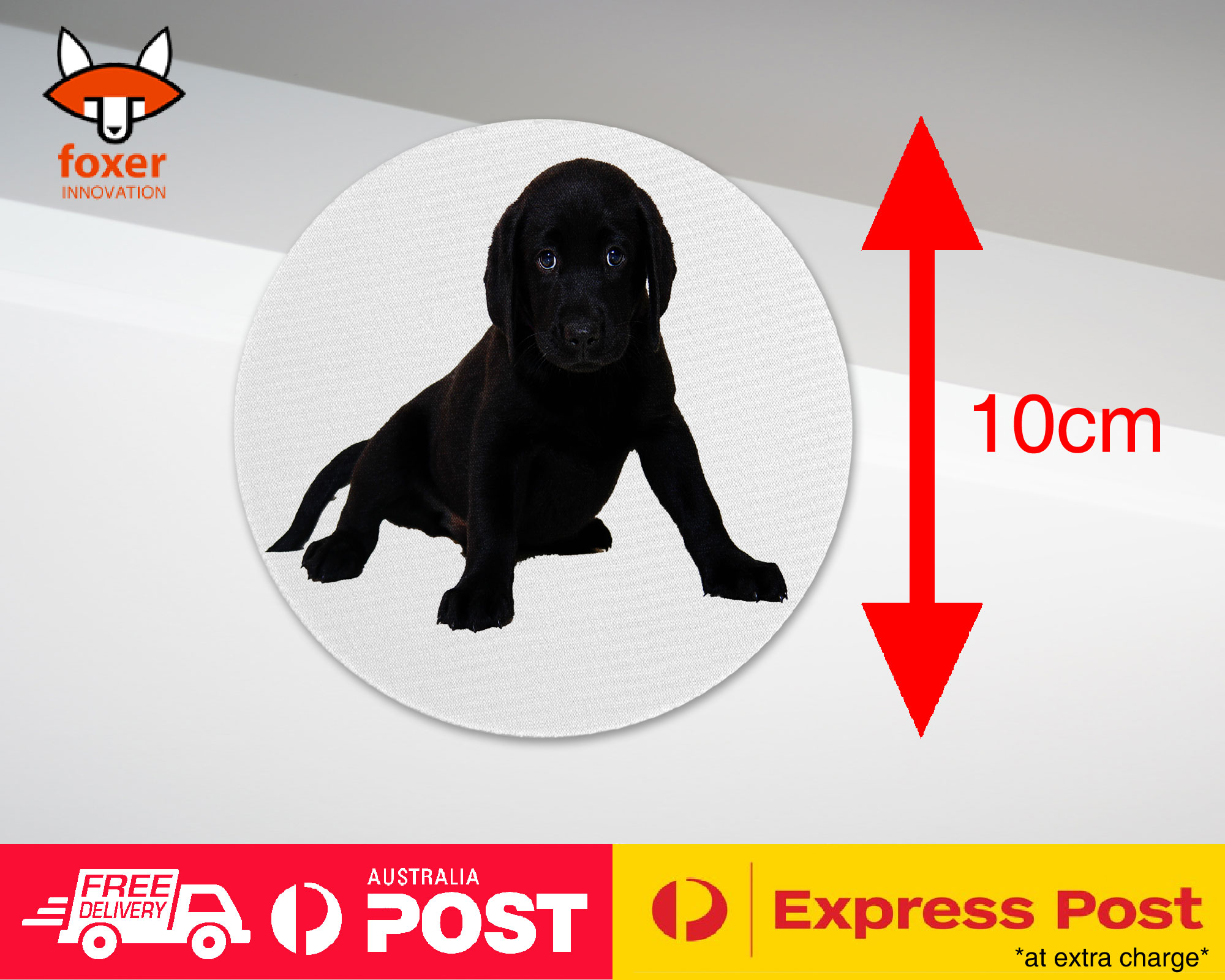 COASTER COFFEE DRINKING MAT|LABRADOR RETRIEVER DOG 13