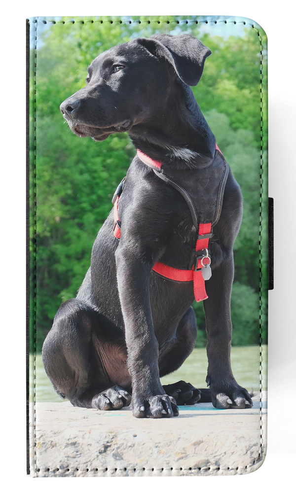 FLIP CASE FOR APPLE IPHONE|LABRADOR RETRIEVER DOG 16 - Picture 115 of 193