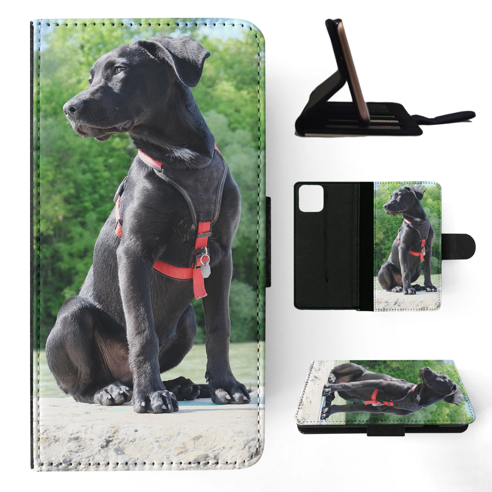 FLIP CASE FOR APPLE IPHONE|LABRADOR RETRIEVER DOG 16 - Picture 99 of 193