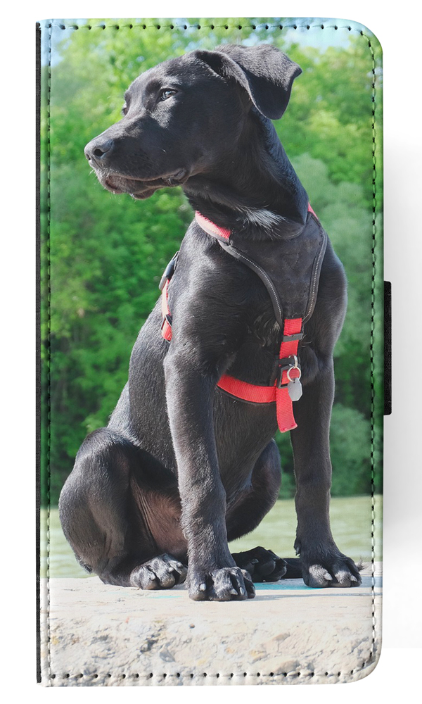 FLIP CASE FOR APPLE IPHONE|LABRADOR RETRIEVER DOG 16 - Picture 95 of 193