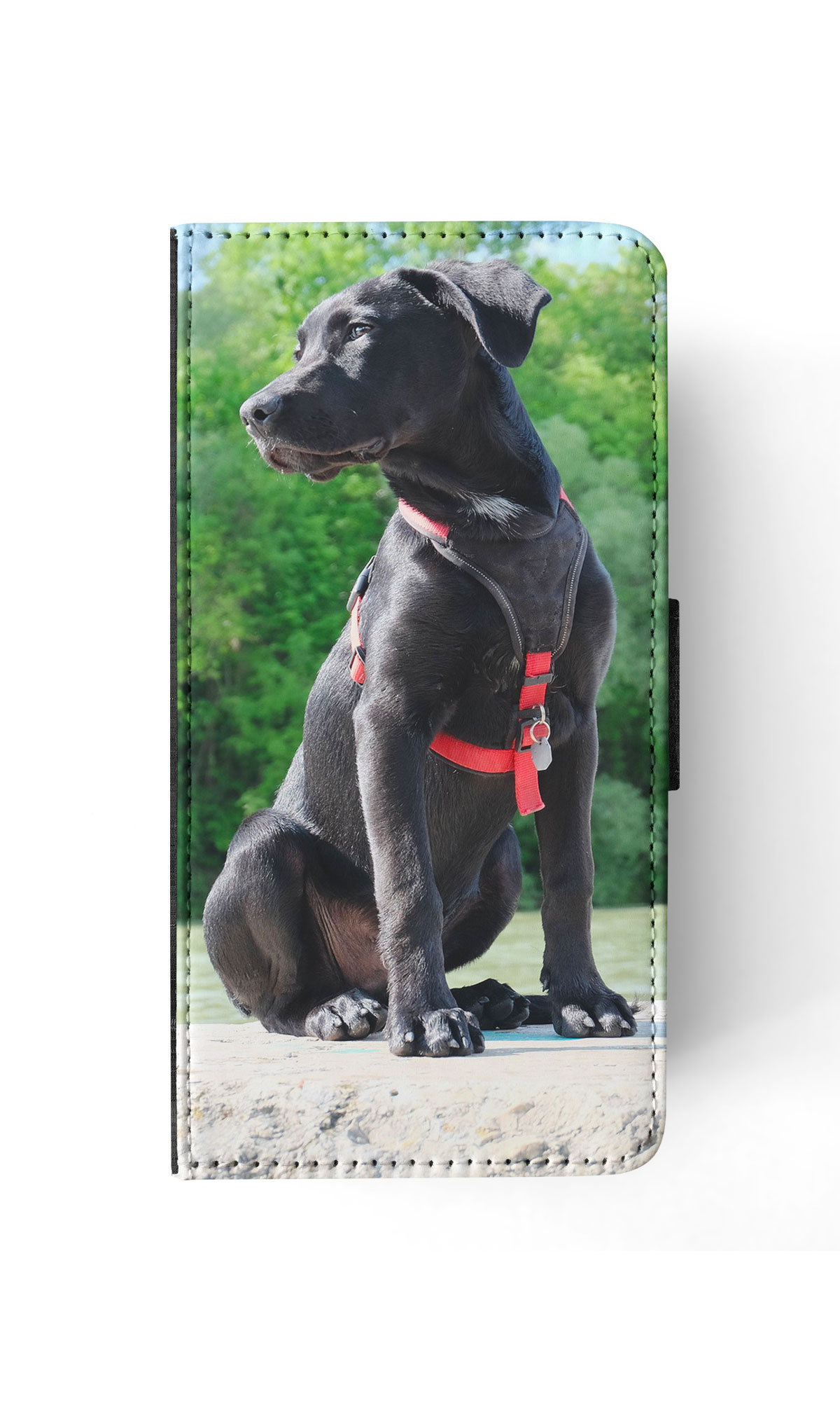 FLIP CASE FOR APPLE IPHONE|LABRADOR RETRIEVER DOG 16 - Picture 82 of 193