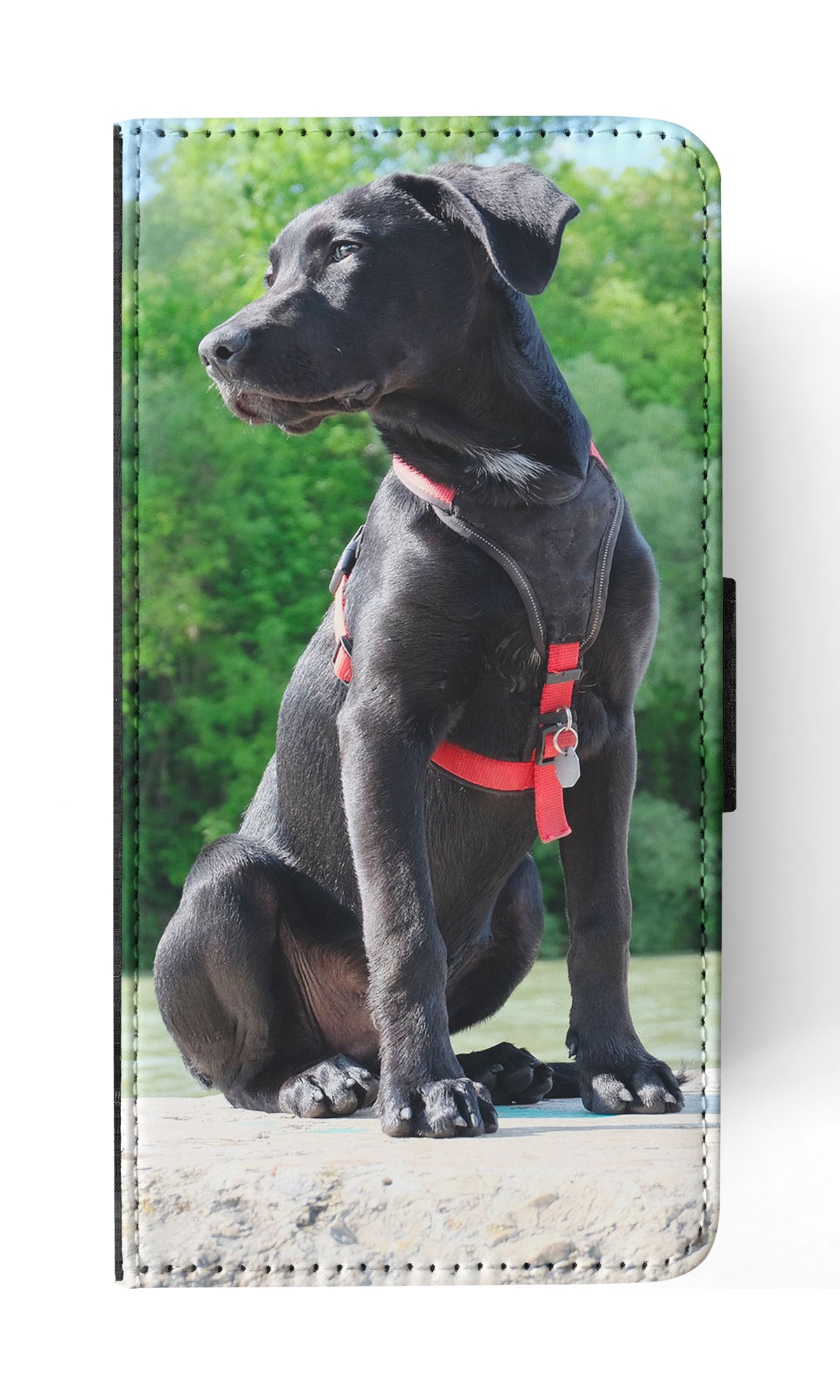 FLIP CASE FOR APPLE IPHONE|LABRADOR RETRIEVER DOG 16 - Picture 52 of 193