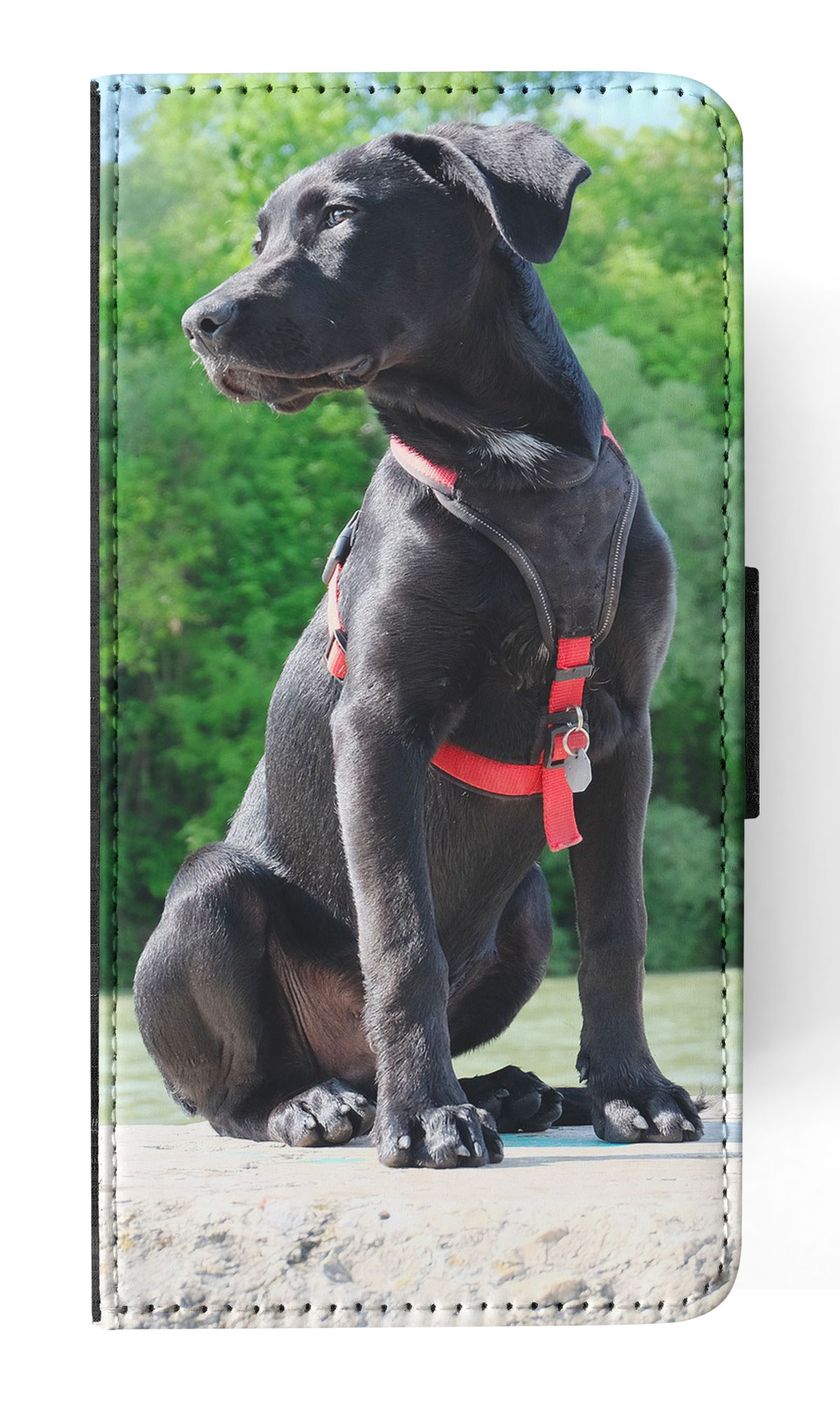 FLIP CASE FOR APPLE IPHONE|LABRADOR RETRIEVER DOG 16 - Picture 47 of 193