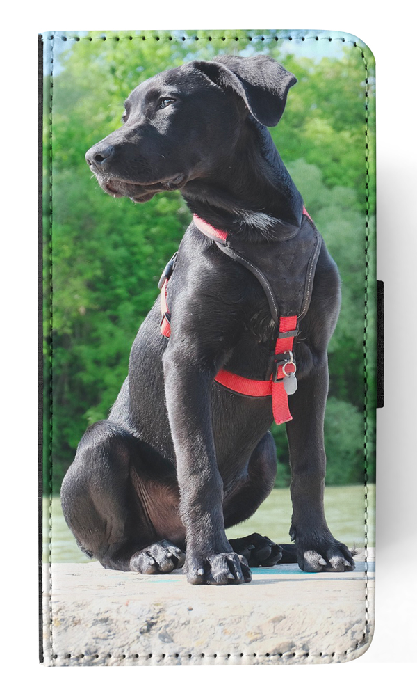 FLIP CASE FOR APPLE IPHONE|LABRADOR RETRIEVER DOG 16 - Picture 150 of 193
