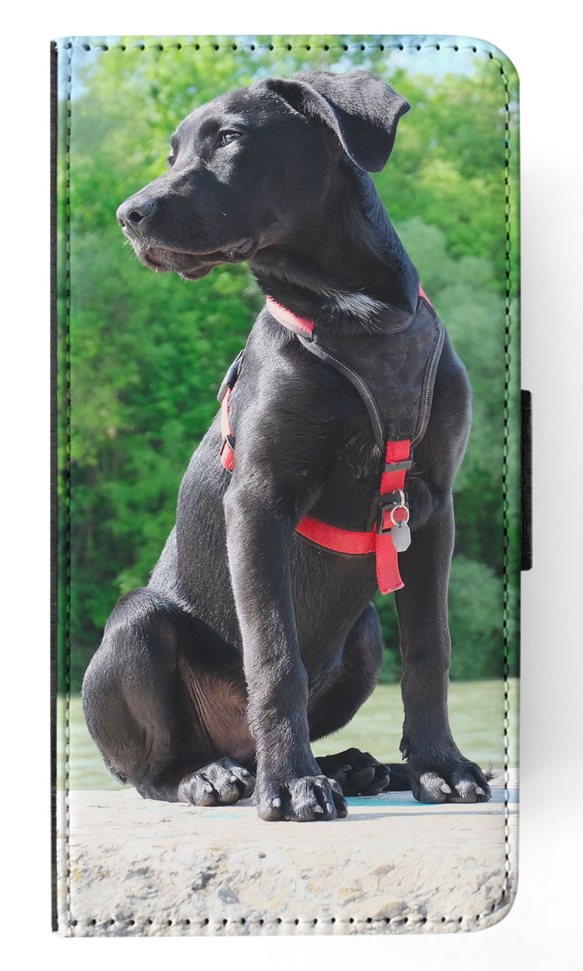 FLIP CASE FOR APPLE IPHONE|LABRADOR RETRIEVER DOG 16 - Picture 37 of 193