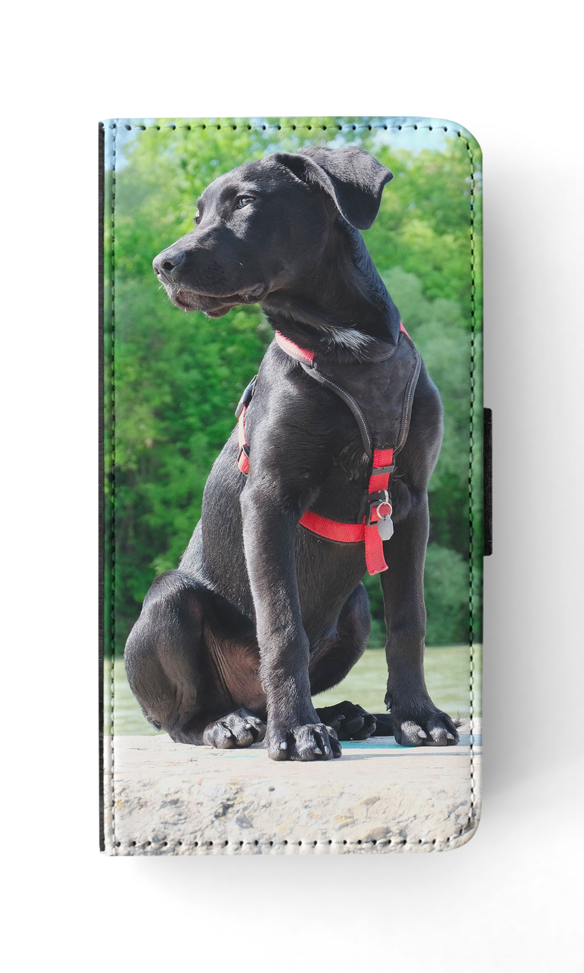 FLIP CASE FOR APPLE IPHONE|LABRADOR RETRIEVER DOG 16 - Picture 32 of 193