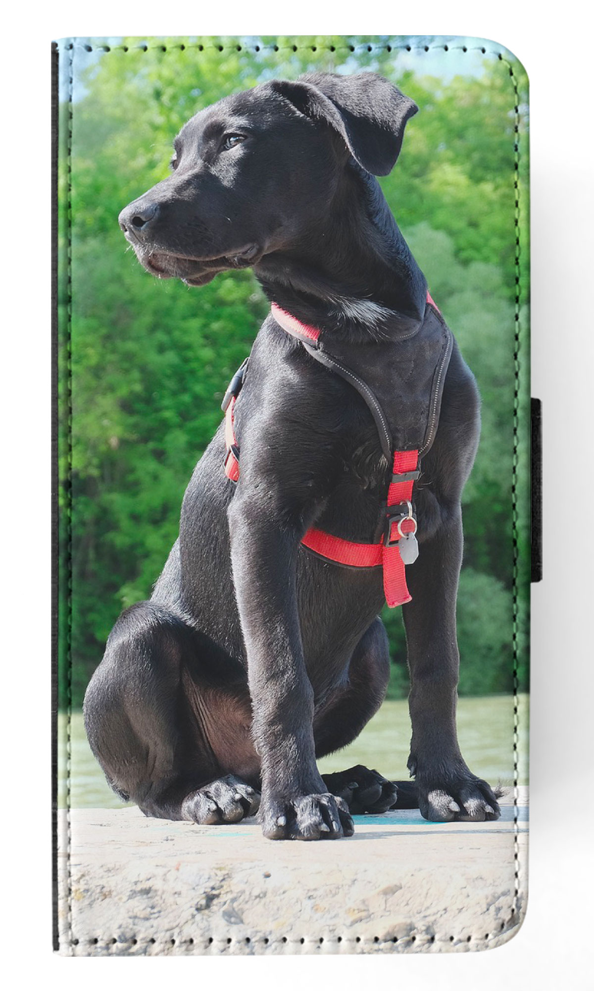 FLIP CASE FOR APPLE IPHONE|LABRADOR RETRIEVER DOG 16 - Picture 27 of 193
