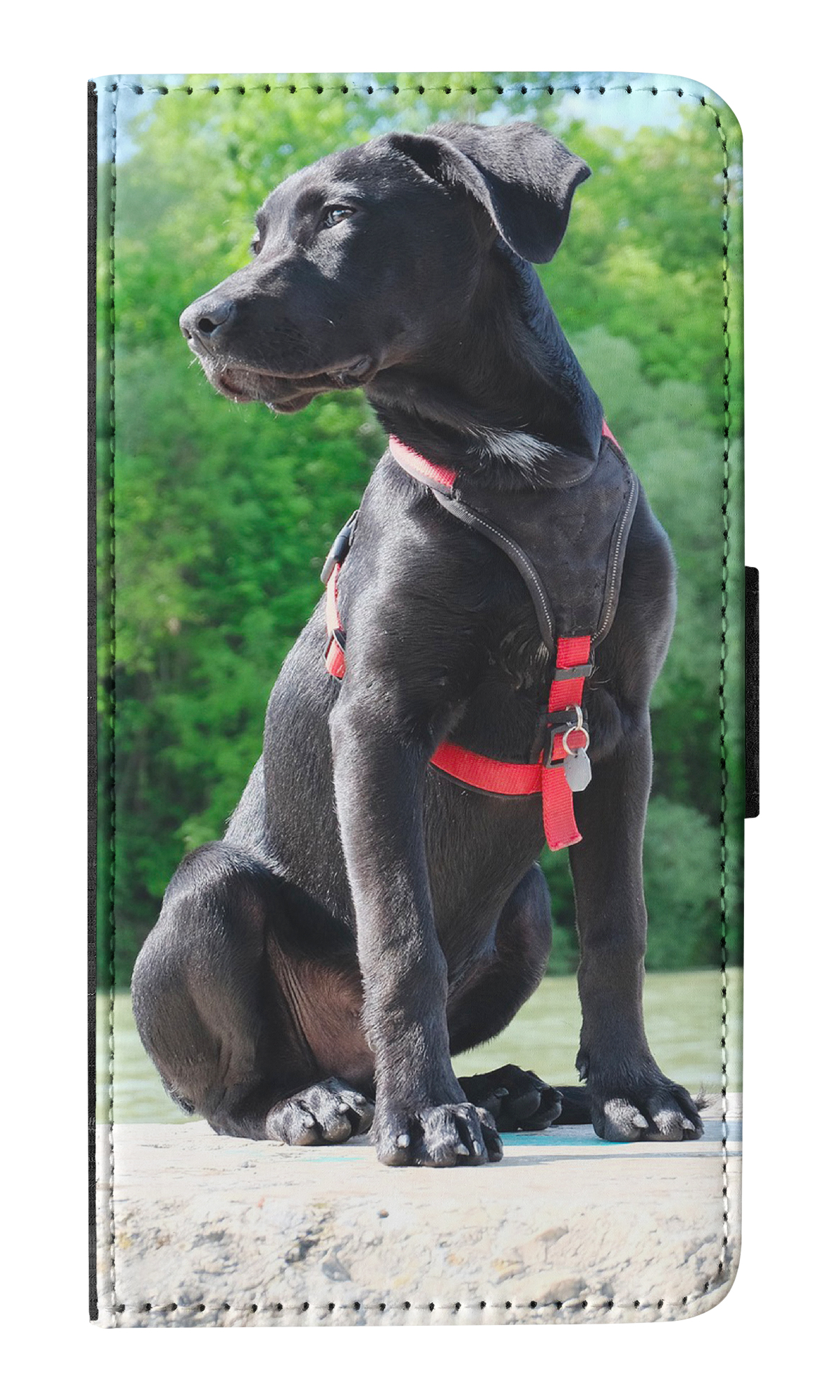 FLIP CASE FOR APPLE IPHONE|LABRADOR RETRIEVER DOG 16 - Picture 7 of 193
