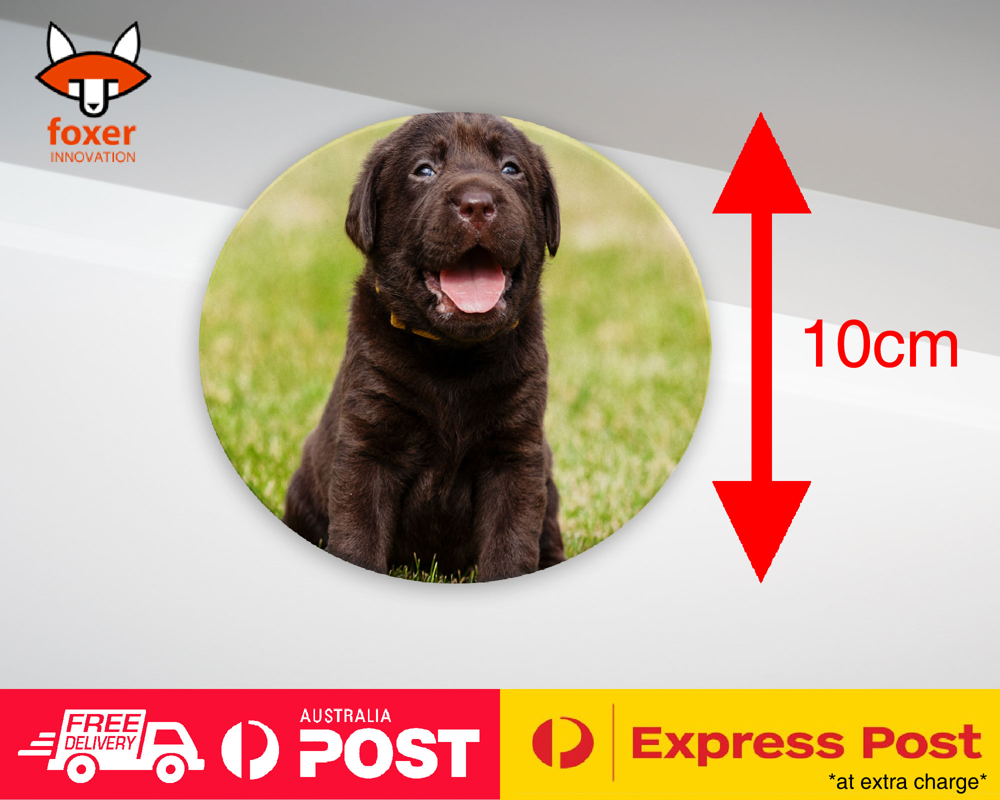 COASTER COFFEE DRINKING MAT|LABRADOR RETRIEVER DOG 17