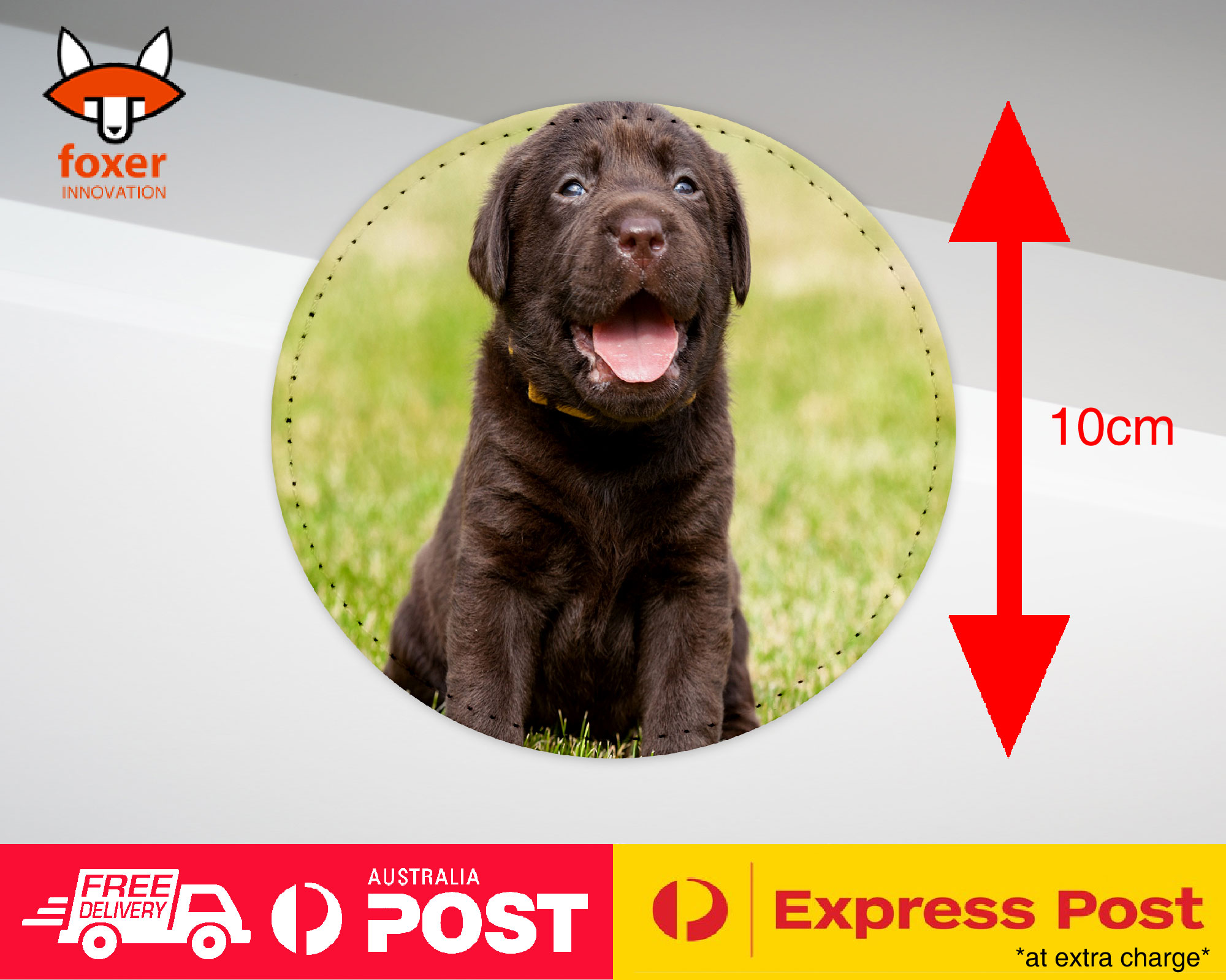 COASTER COFFEE DRINKING MAT|LABRADOR RETRIEVER DOG 17